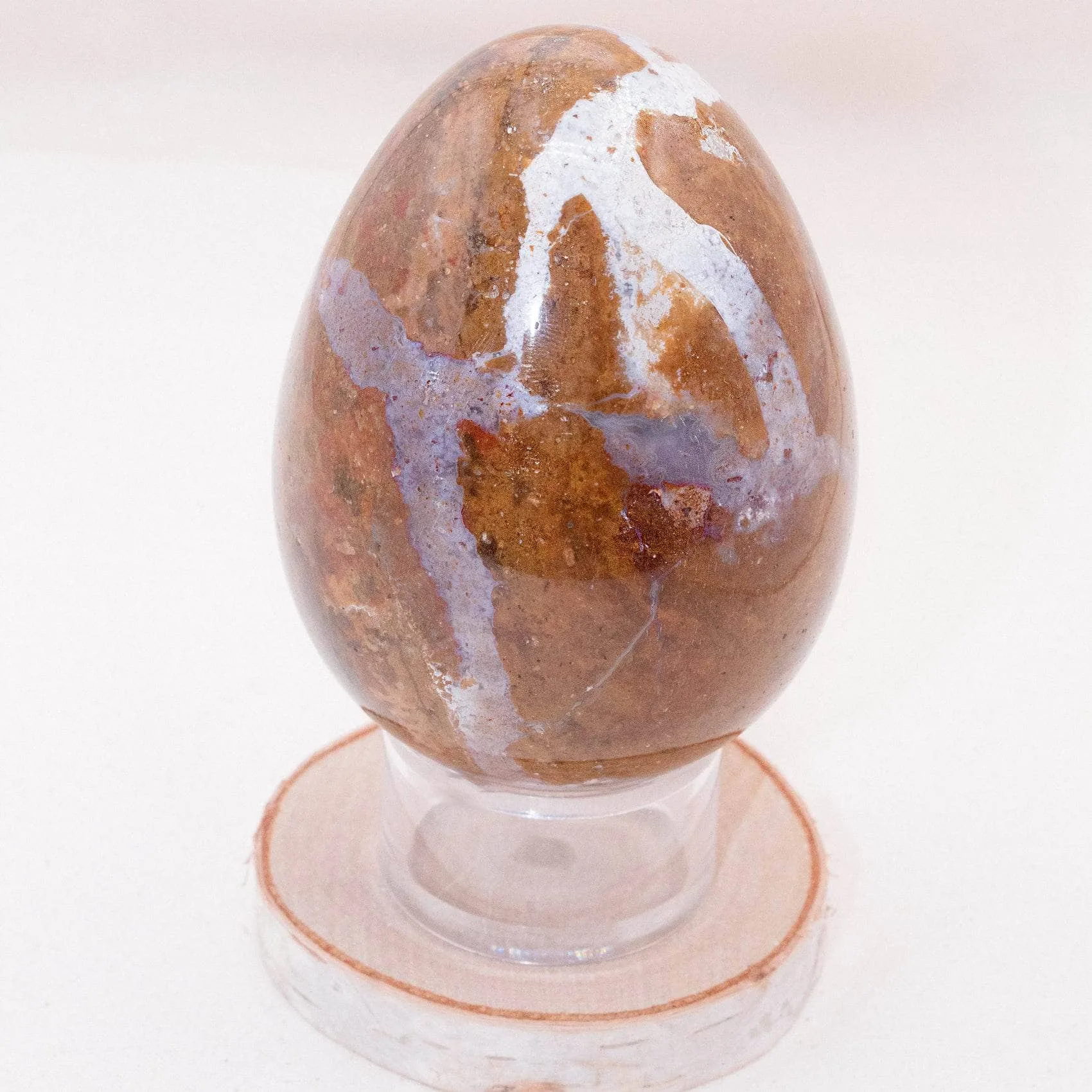PETRIFIED WOOD EGG