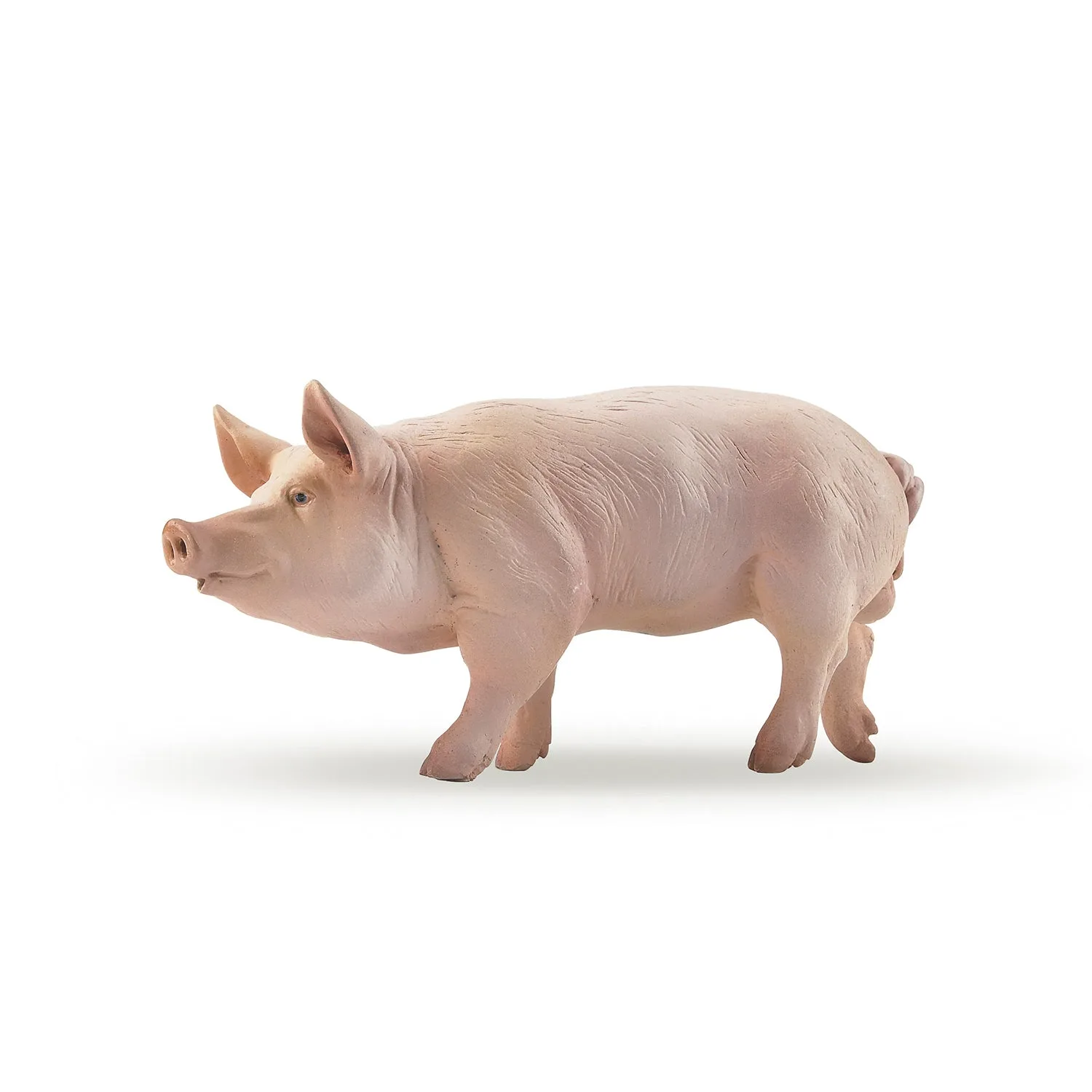 Figura Varrasco