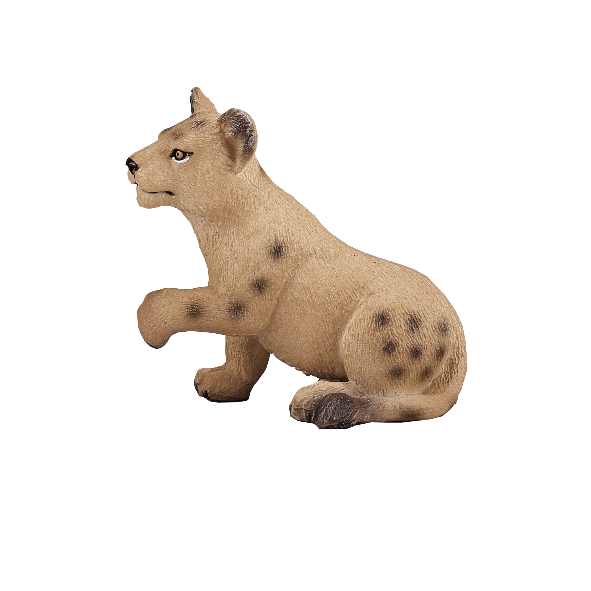 Lion Cub Playing Figure vs Adult: Size Comparison