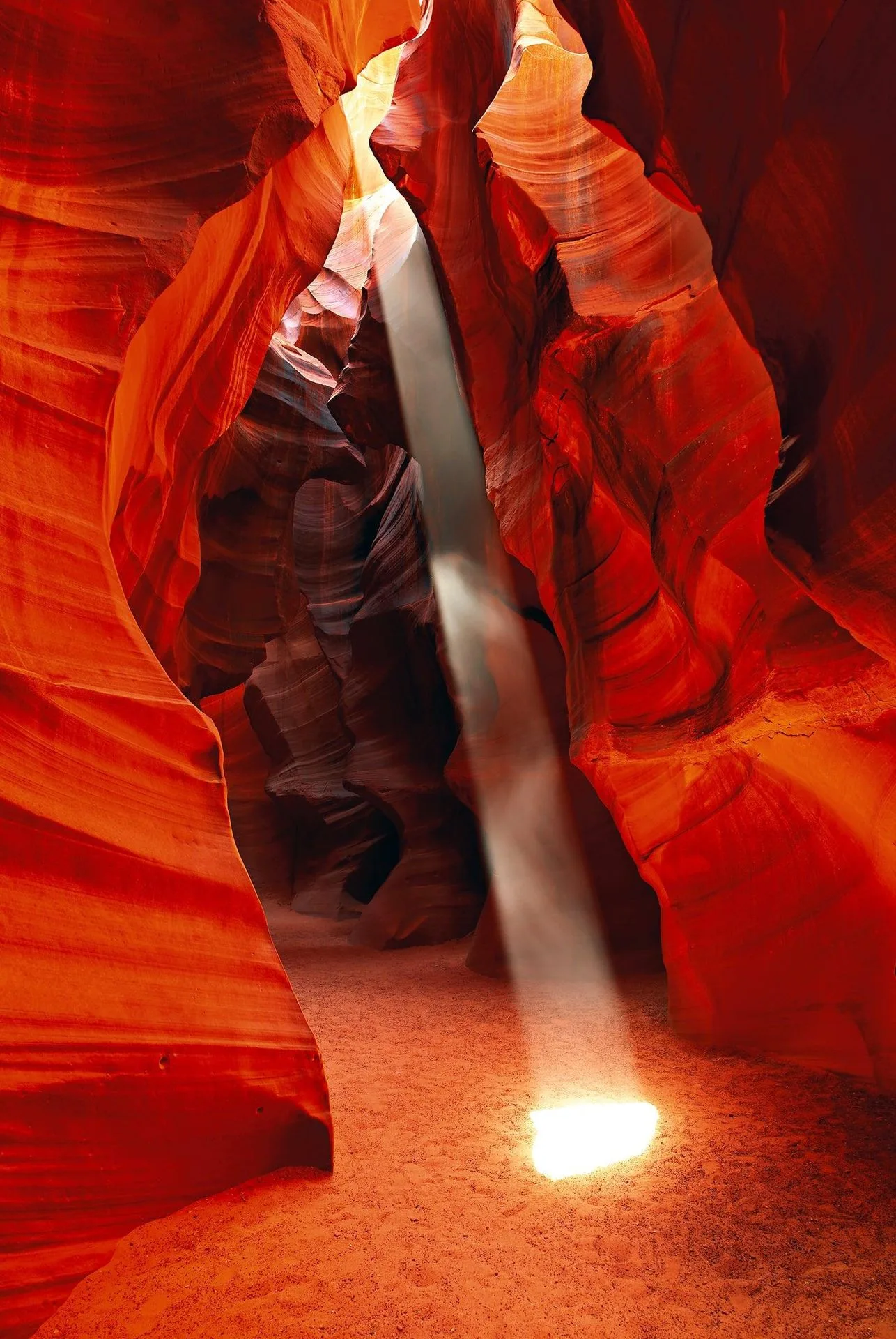 How to Light a Gallery Wall: A Complete Guide for Multiple Prints