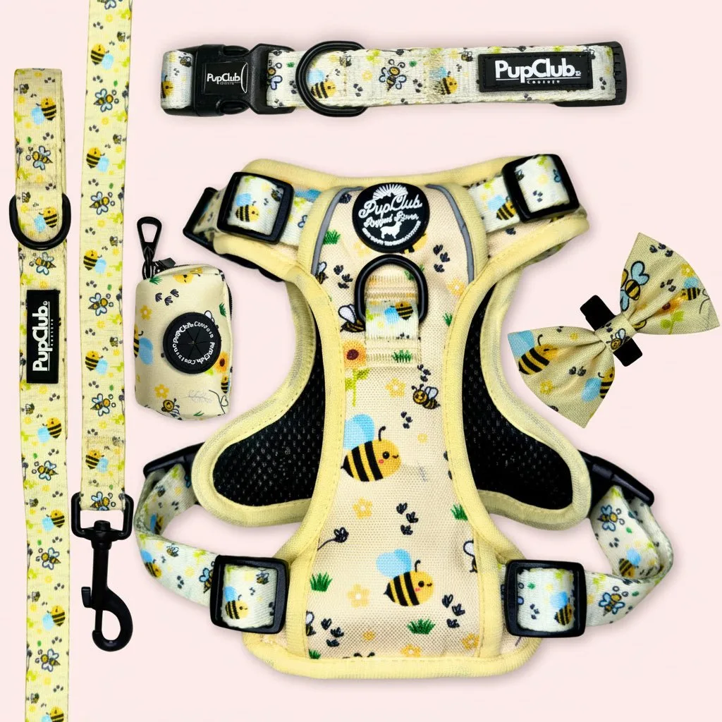 Rugged Rover Harness Bundle - Bee-utiful Summer