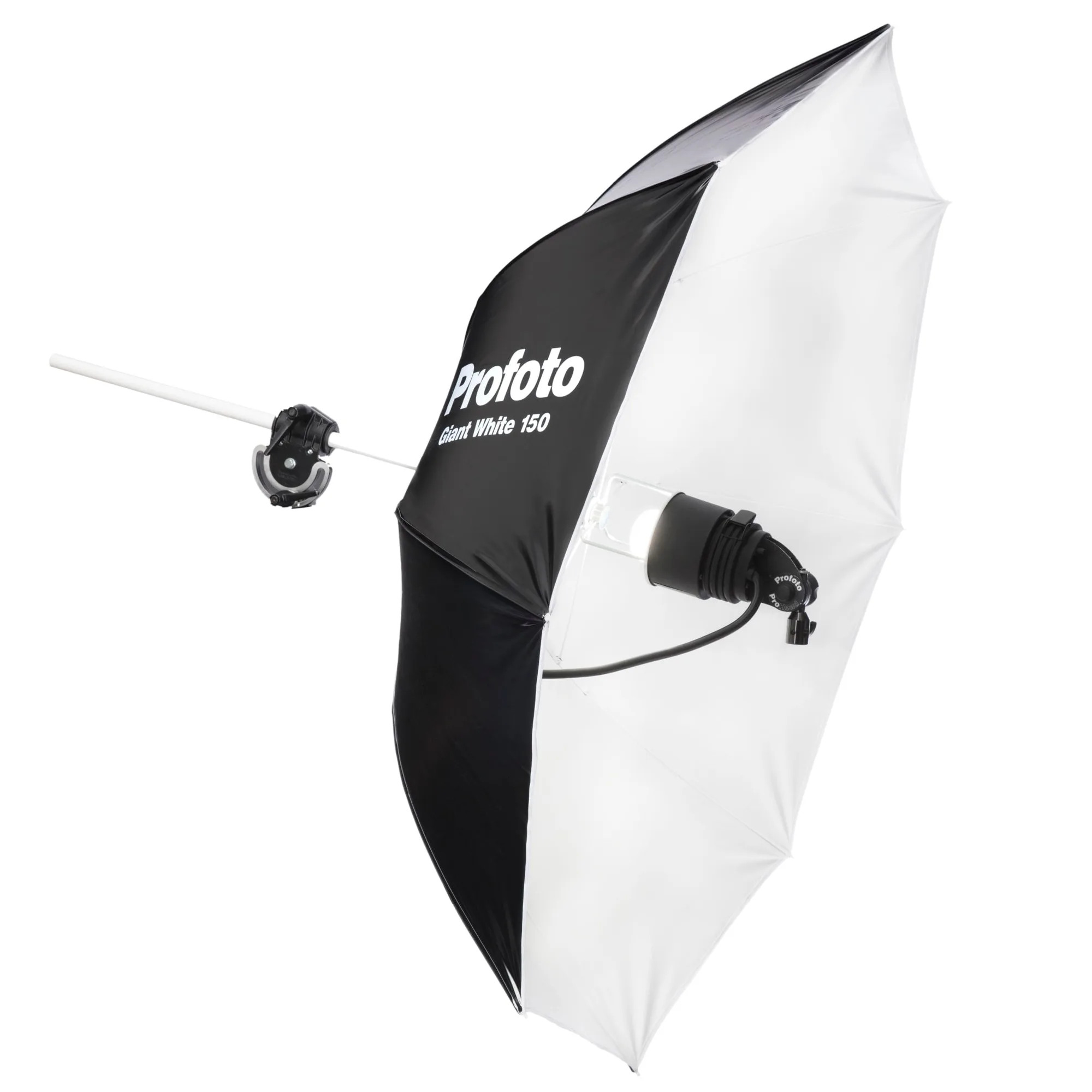 LOC. PROFOTO PRO5FOOT BLANC