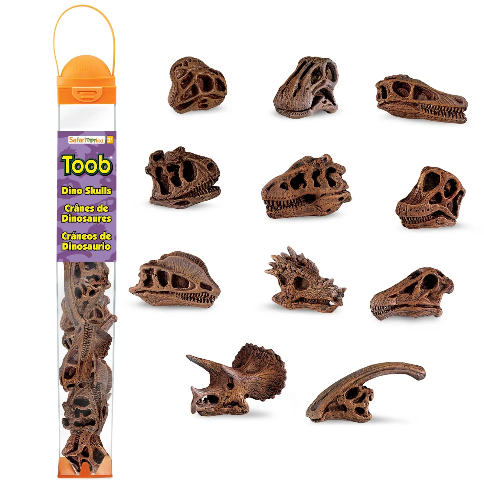 Dinosaur Skull Toy TOOB®