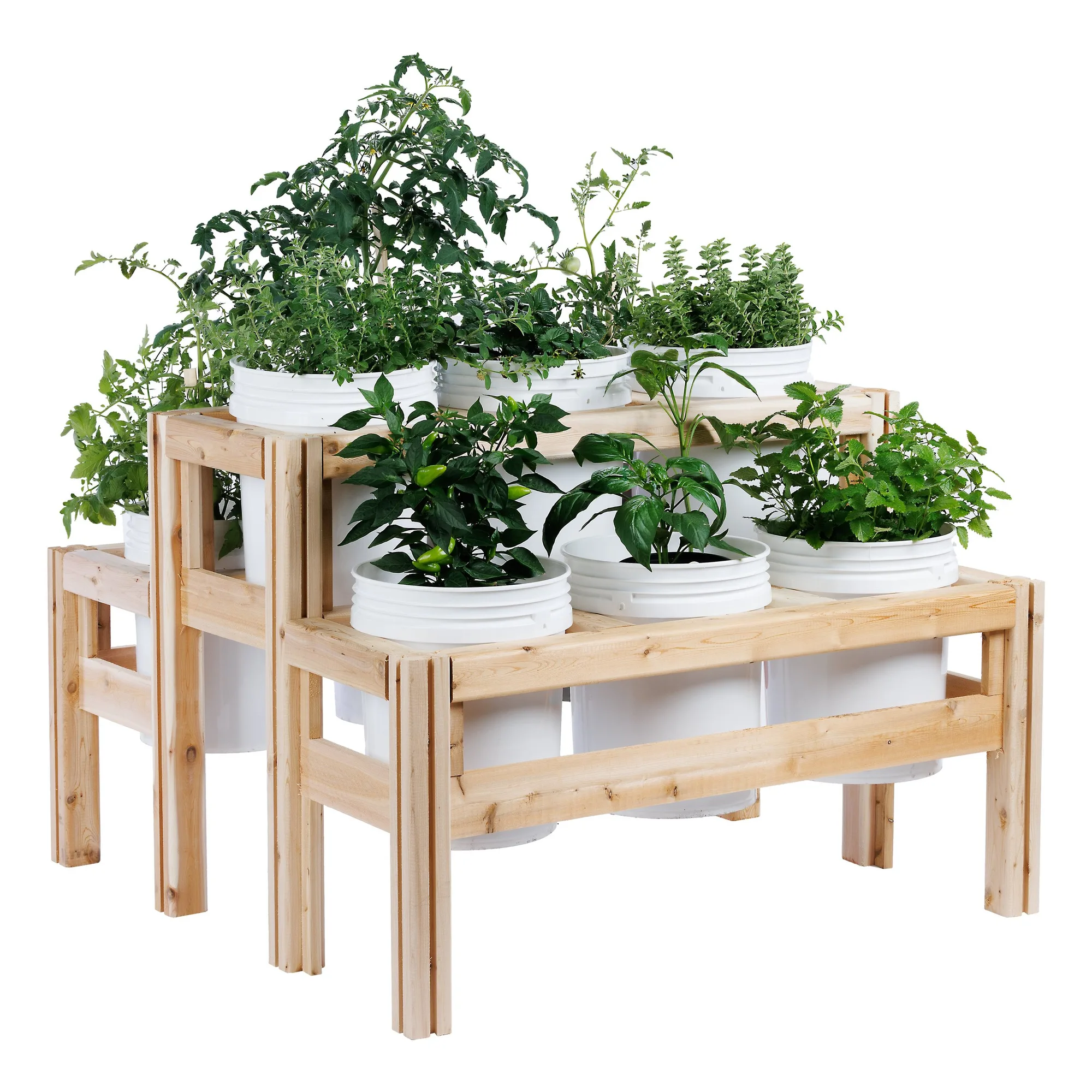 Two-Tier Nine Bucket Cedar Garden Frame: Planting Layout
