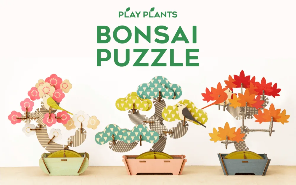 Hádanky Bonsai rostlin vs Posture Pal: Dekorace na stůl
