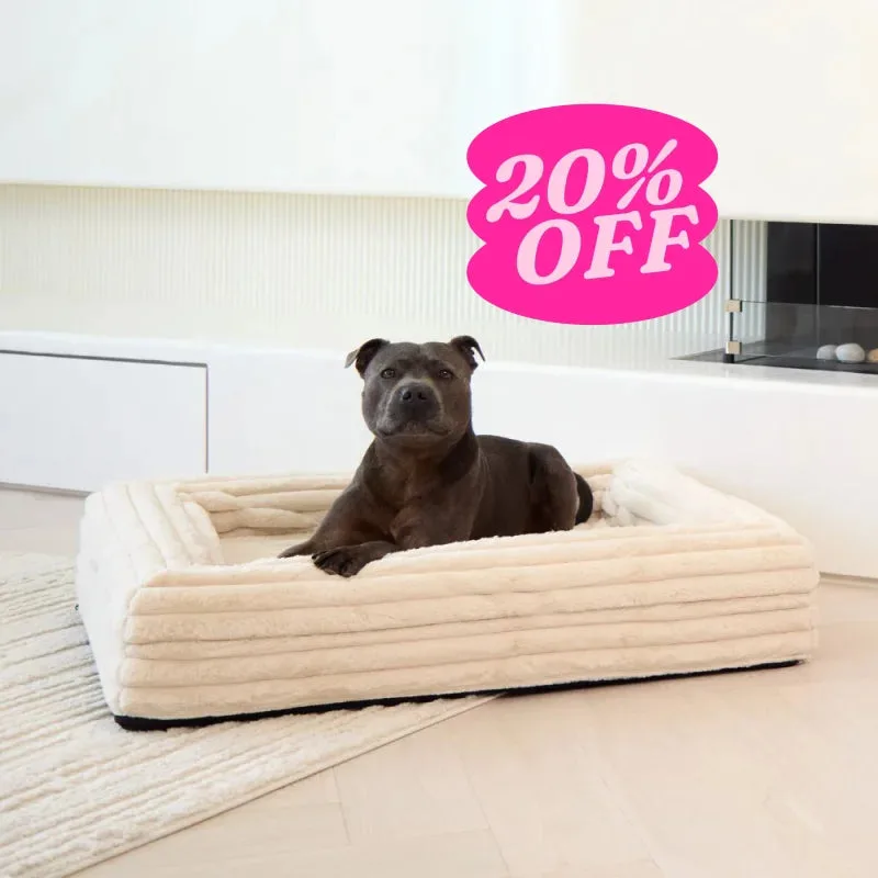 Cama para Cão em Espuma Viscoelástica - Osso Insuflado