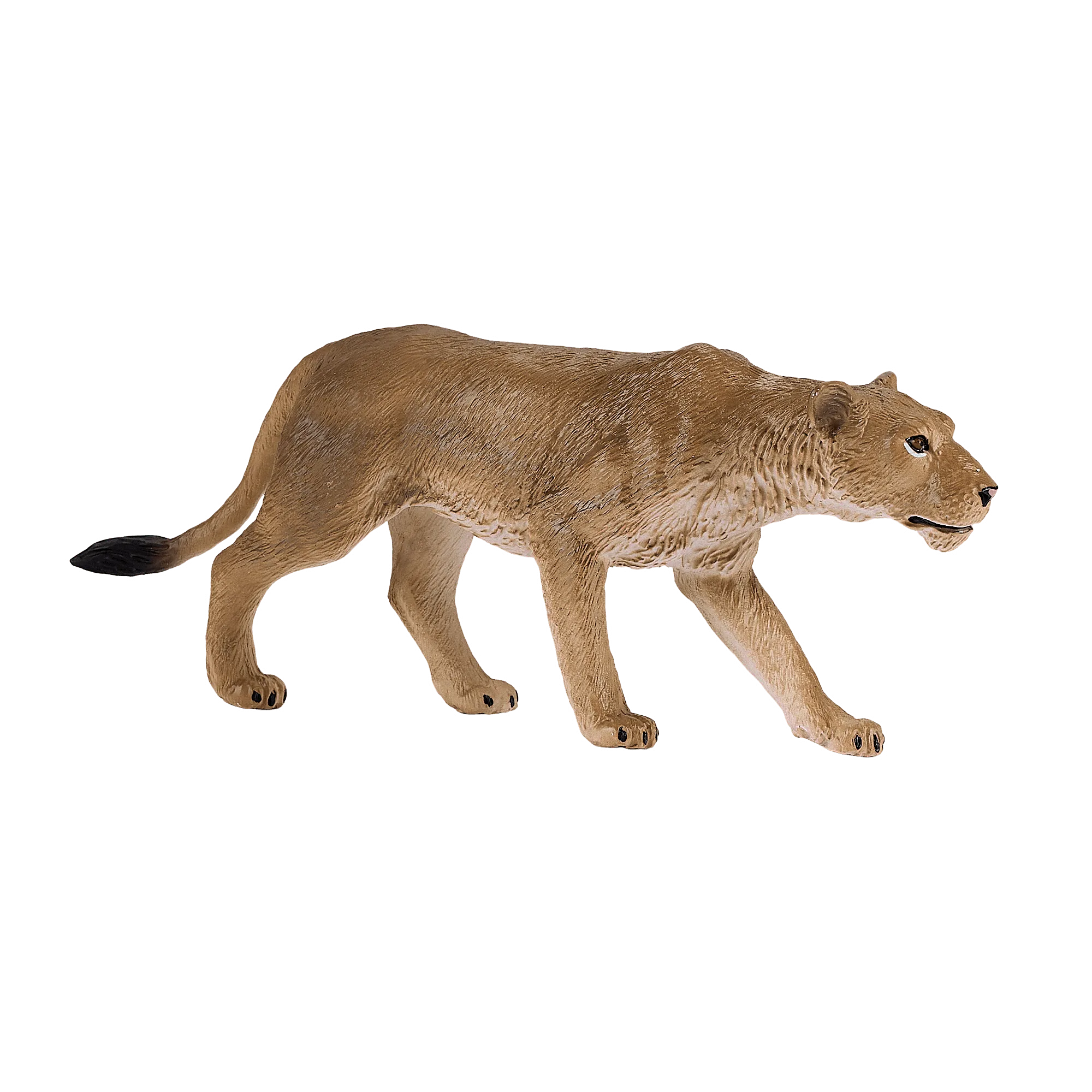 Löwin