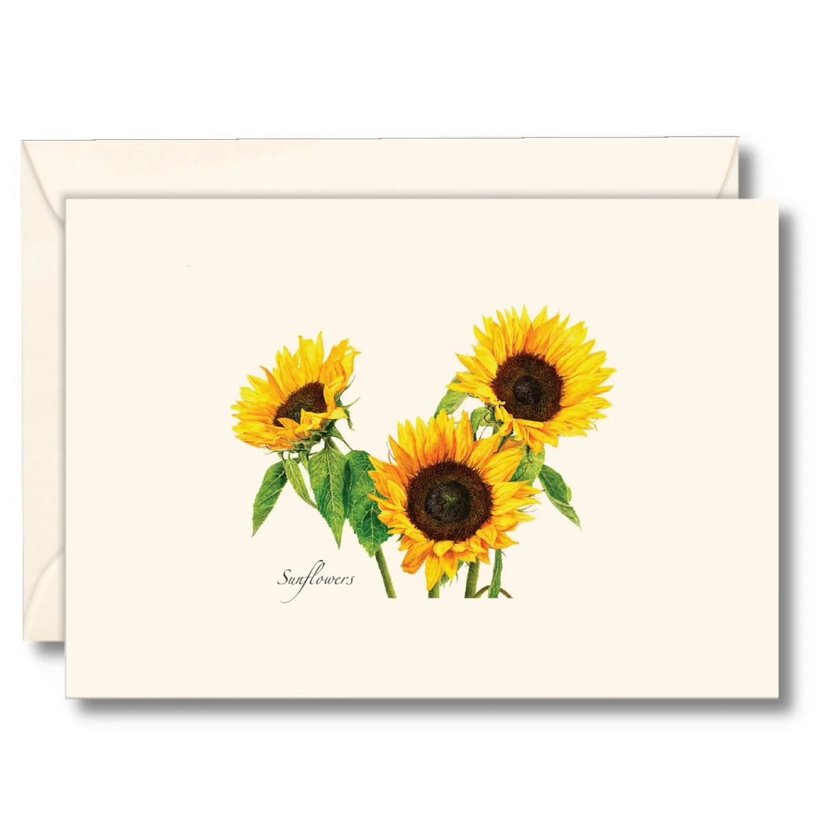 Catherine Greenup Collection Review: Unique Art Prints for Your Home Decor
