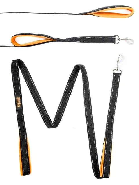 6-Foot Dual Handle Leash