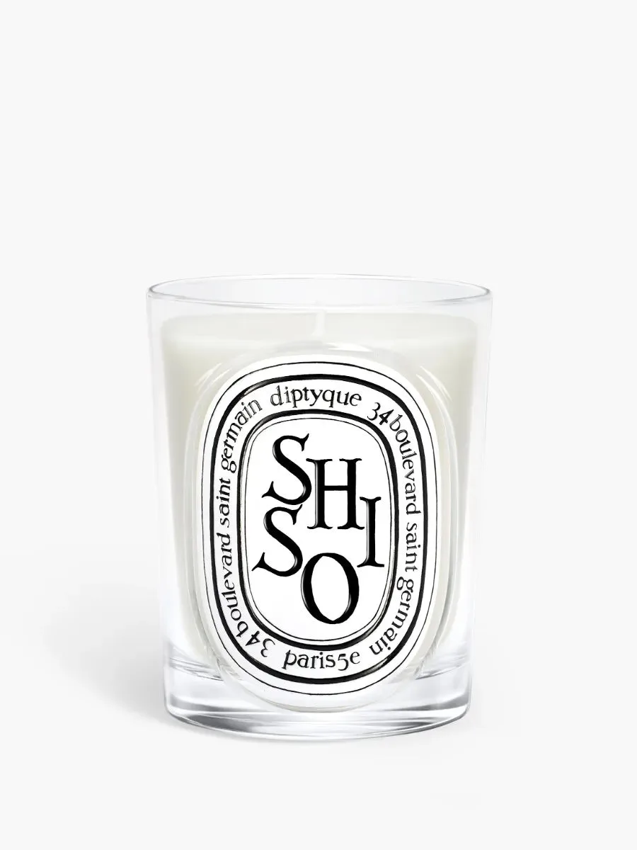 The Ultimate Guide to Diptyque Candle Holders: Styles and Uses