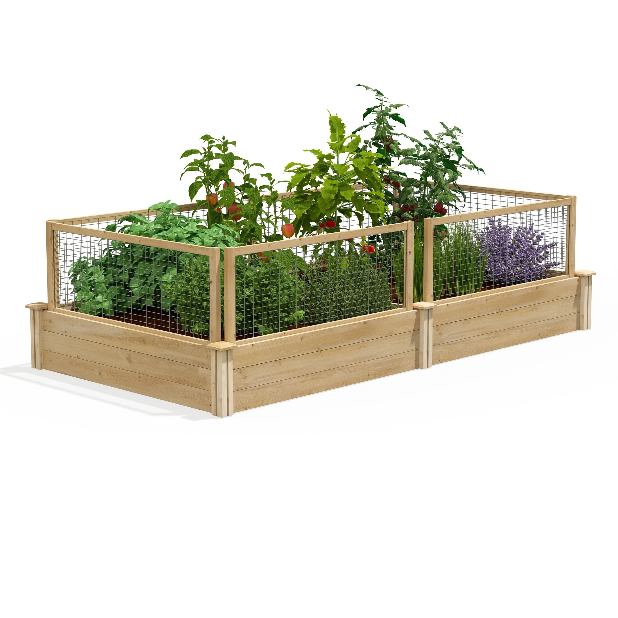 Hochbeet aus Premium-Zeder mit CritterGuard®-Zedernzaun-System 4 ft x 8 ft x 10,5 in (3/4 in stark) RC6T21BCG