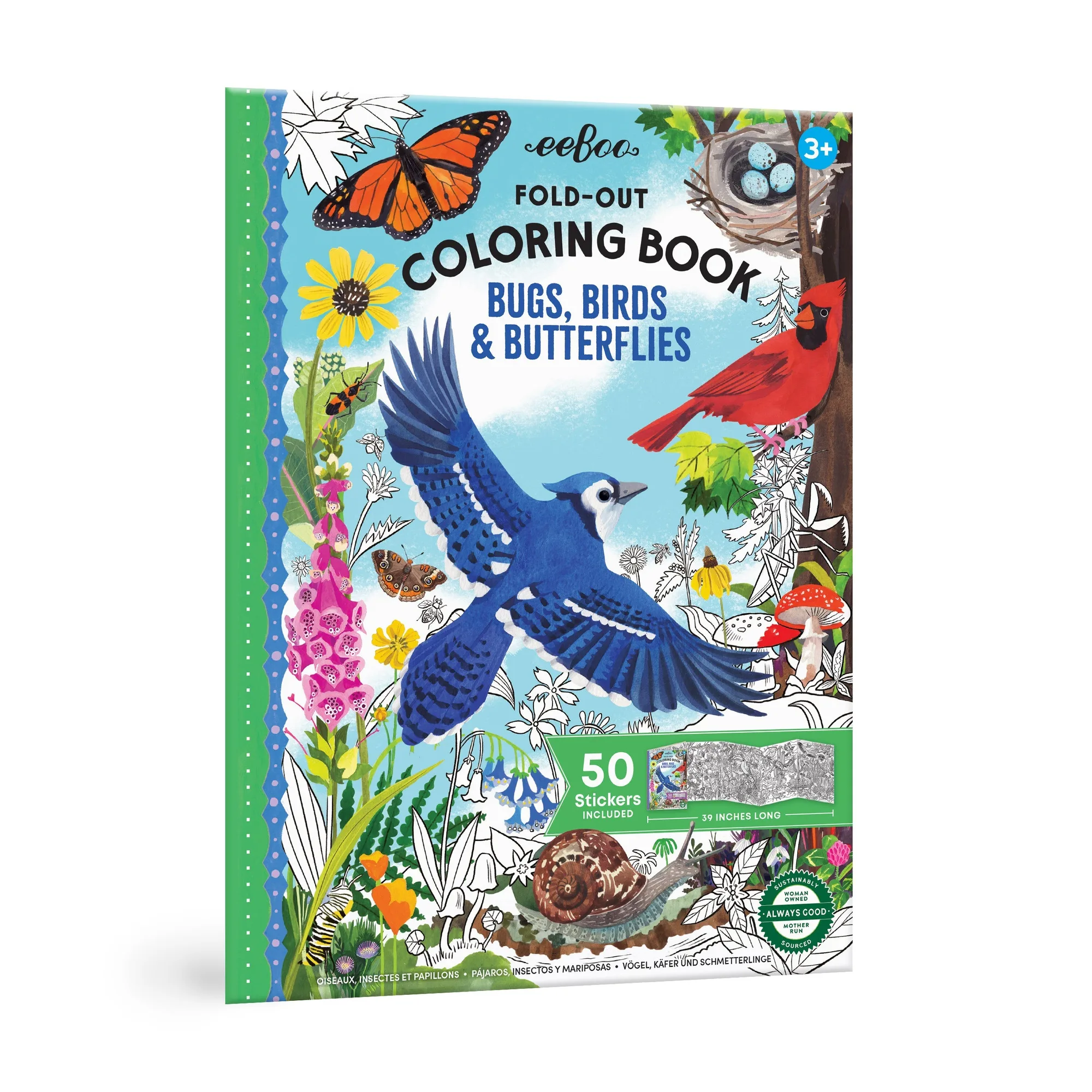 Ausklappbares Malbuch – Käfer, Vögel & Schmetterlinge