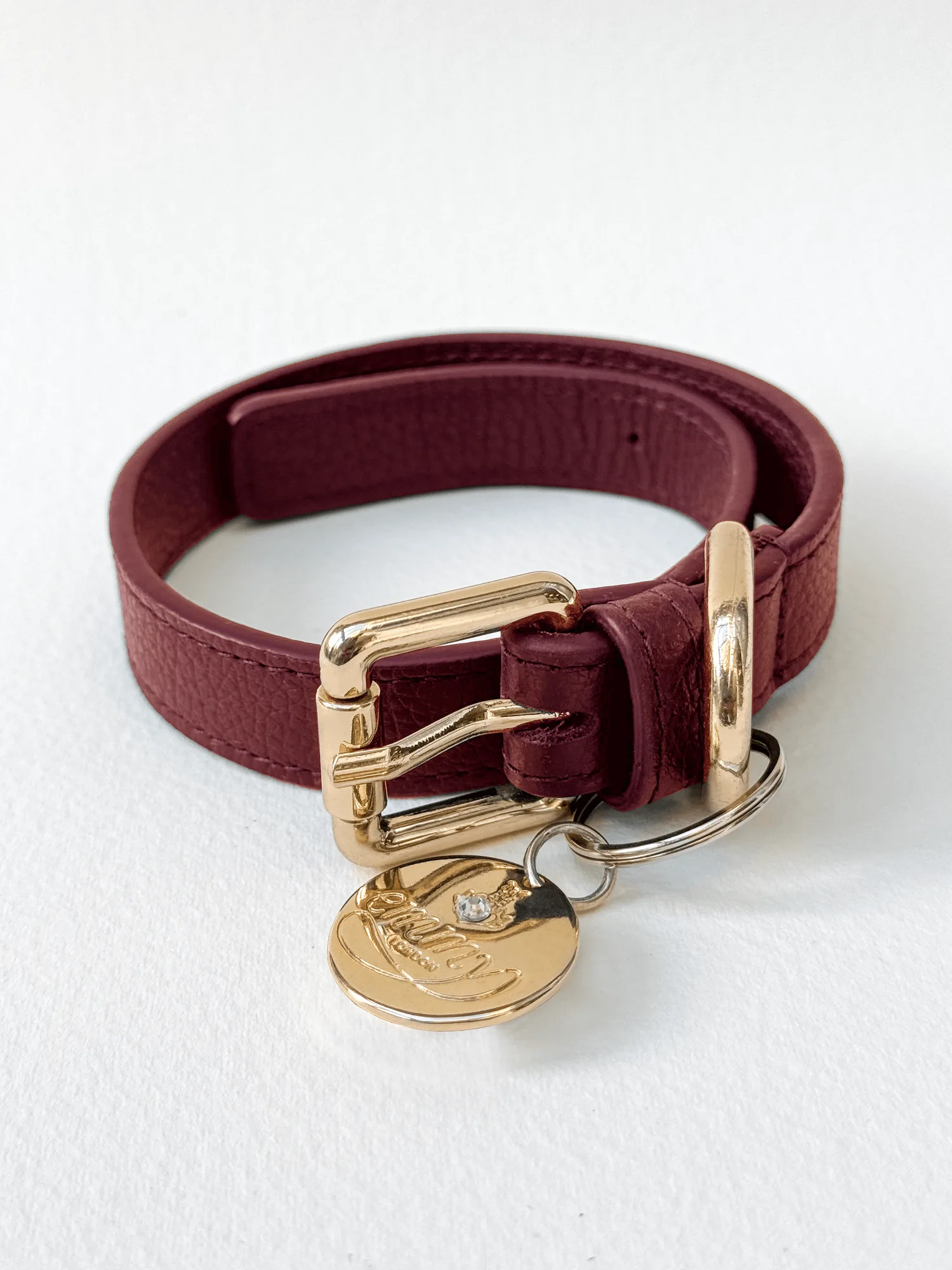 Choisir un collier pour chien alliant style et confort