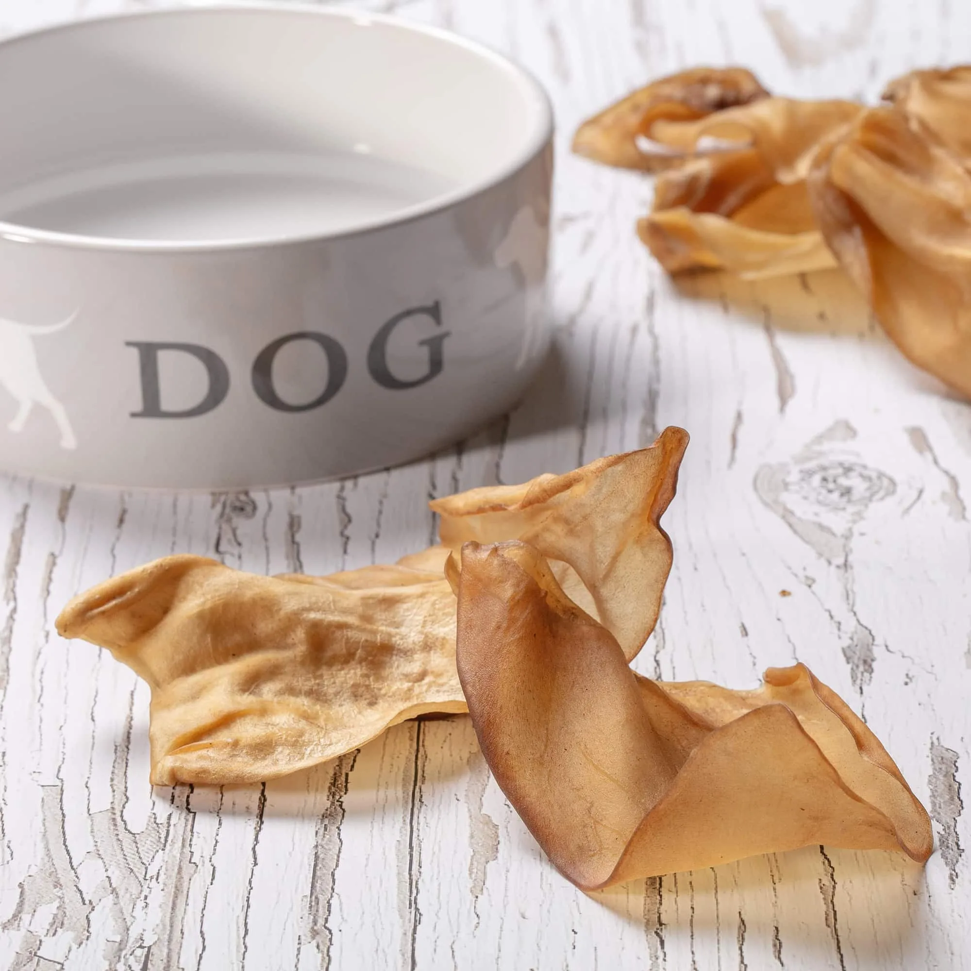 Kuhohren vs. Sushi-Rollen: Welcher Hundesnack hält länger?
