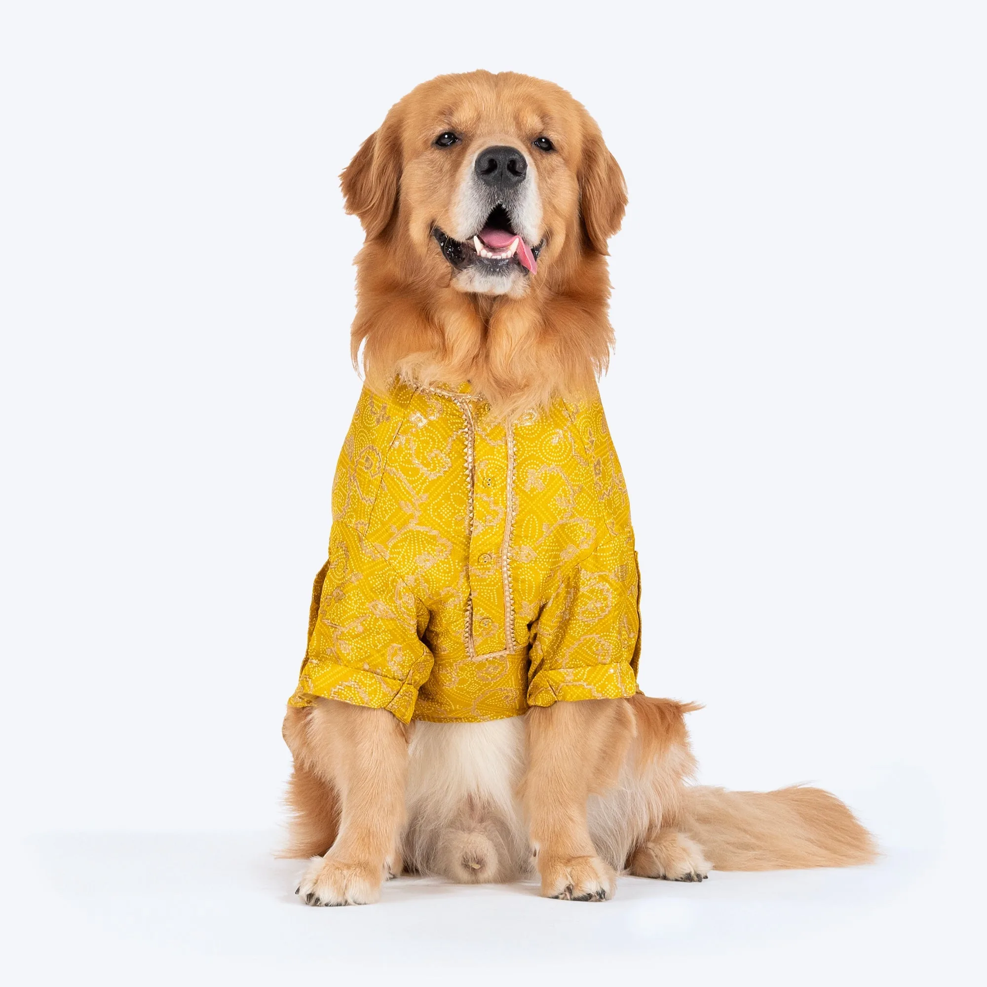 犬のサイズを測ってクルタやTシャツを選ぶ方法