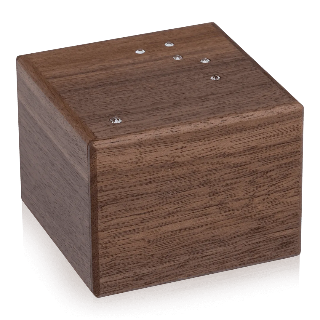 Cassiopeia Puzzle Box