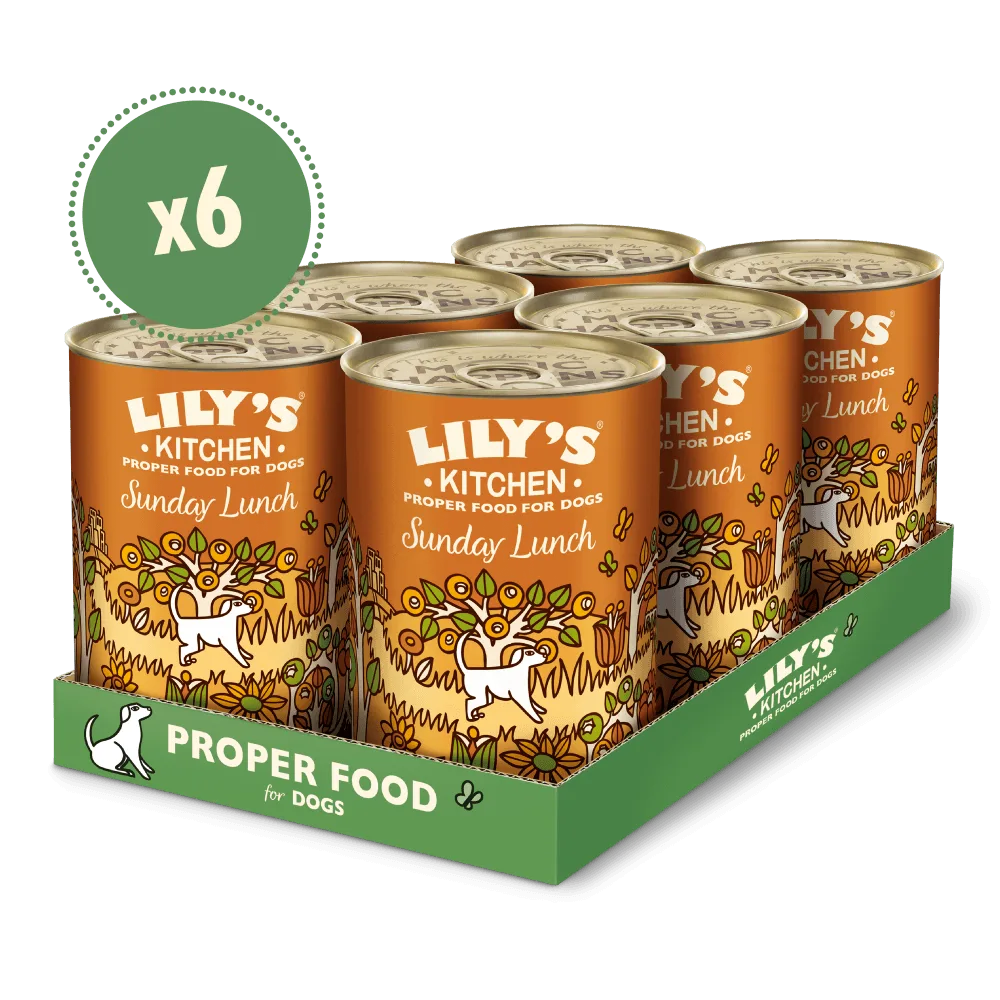 5 Tips for Feeding Adult Dogs (1 to 7 Years) a Balanced Diet with Wet and Dry Food