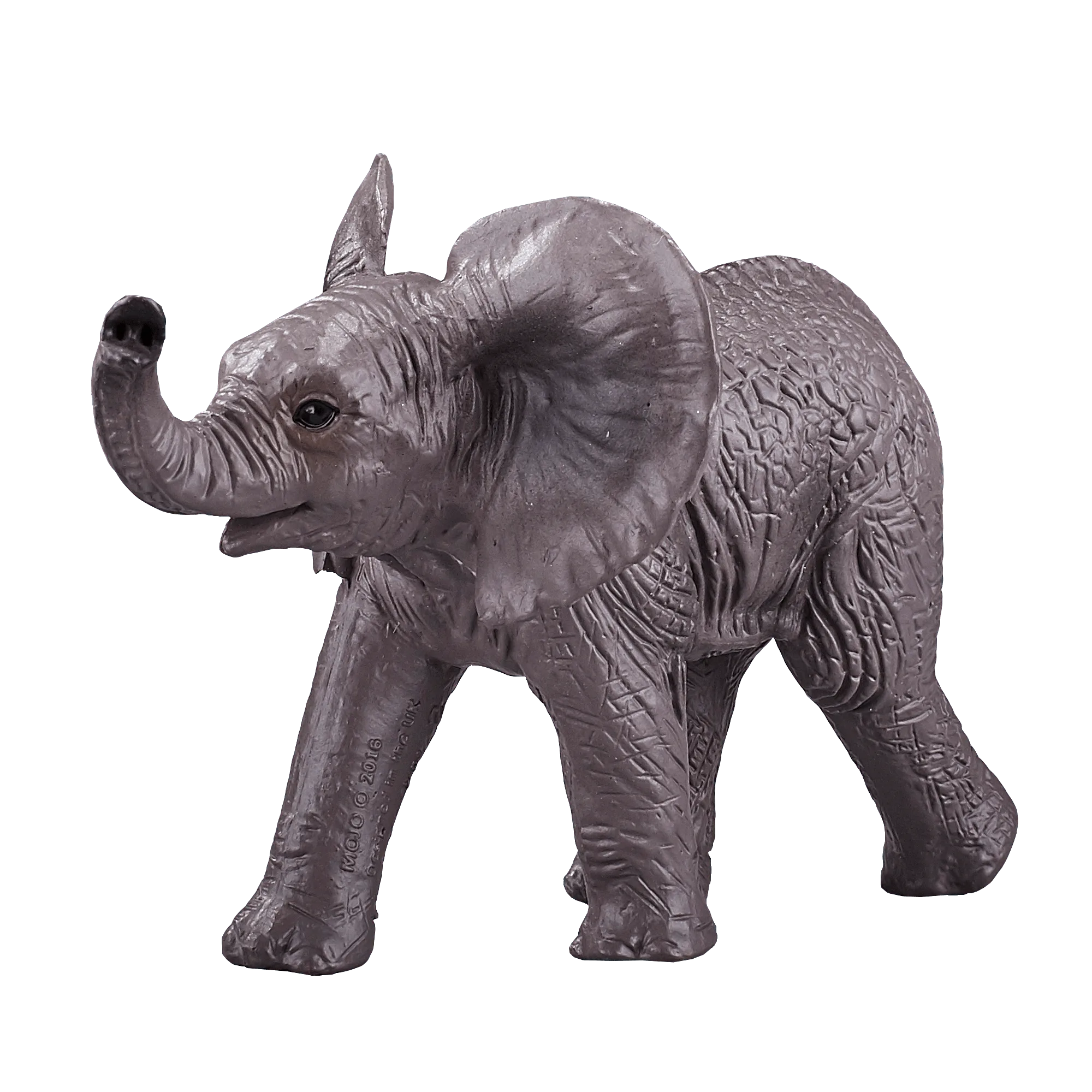 African Elephant Calf
