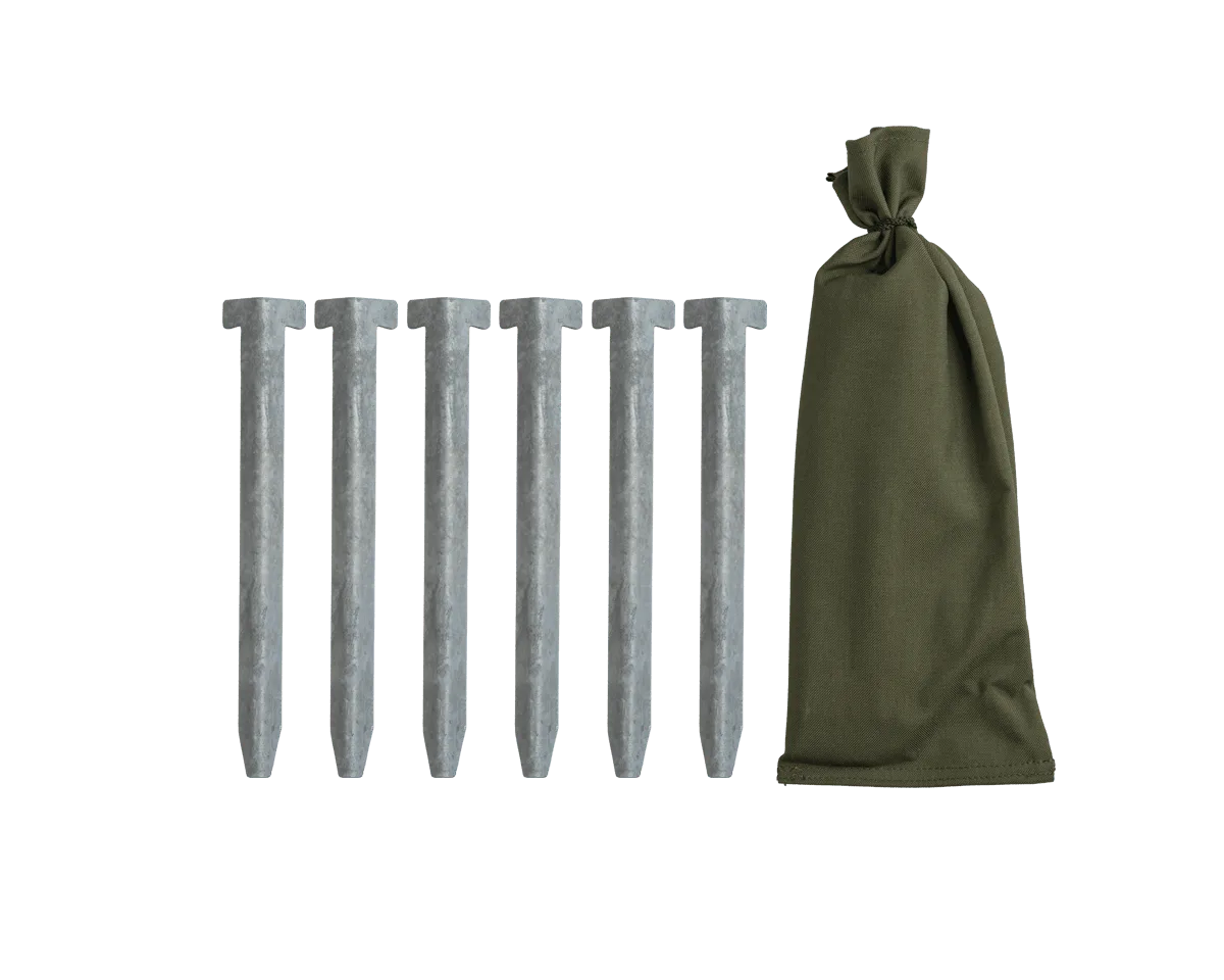 Tent stake set