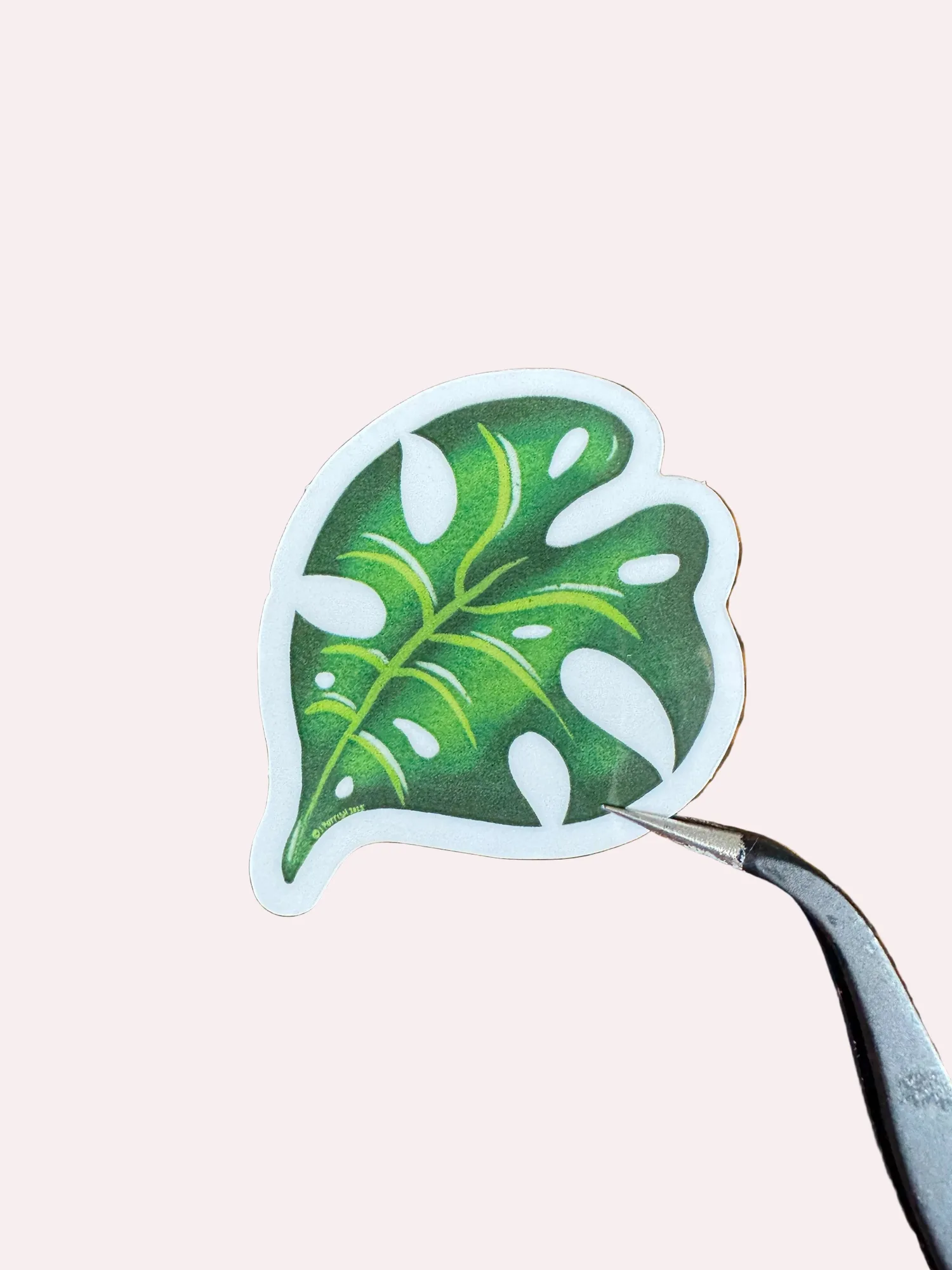 Adesivo lucido foglia di Monstera