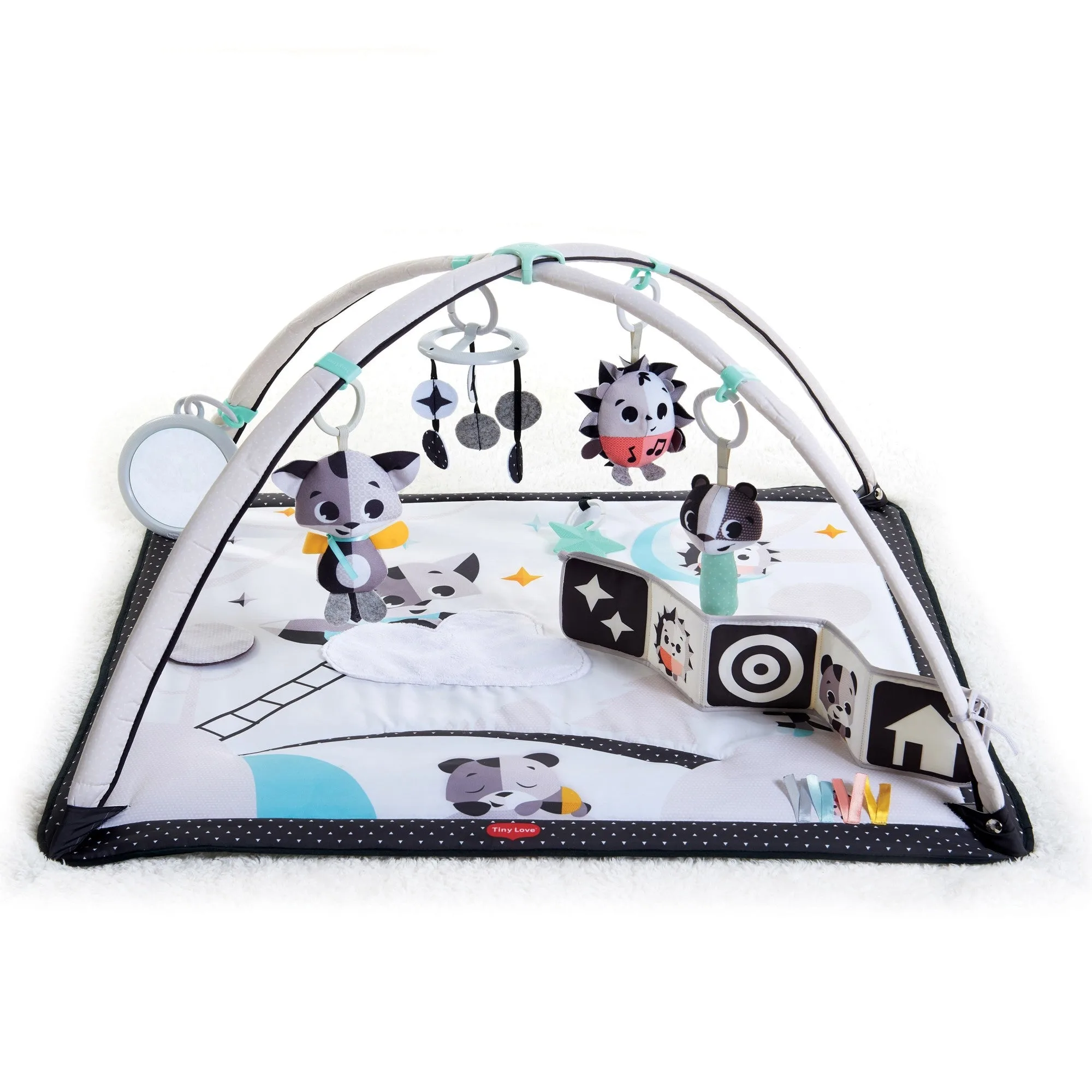 คู่มือซื้อ Gymini Magical Tales Black & White