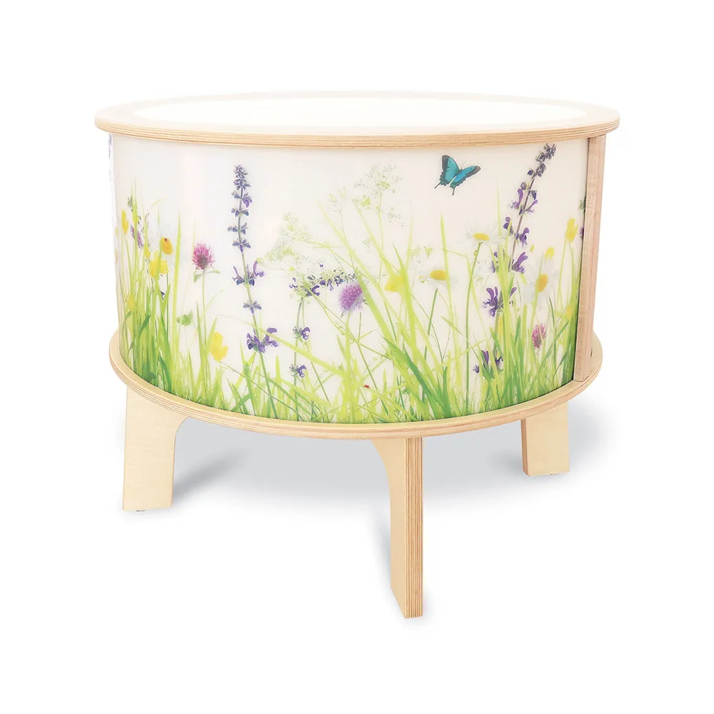 Nature View Light Table: Sensory Play Ideas