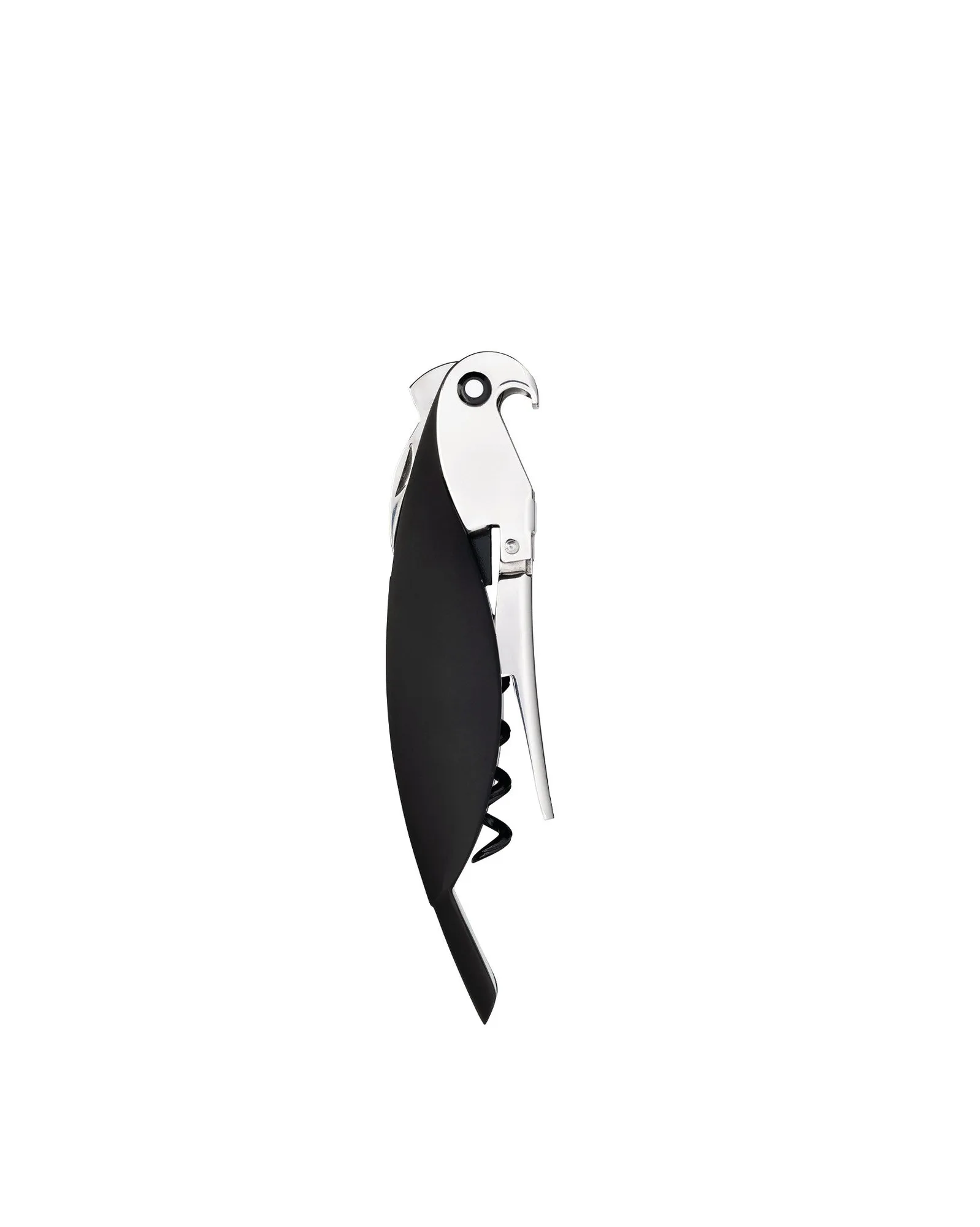 Parrot