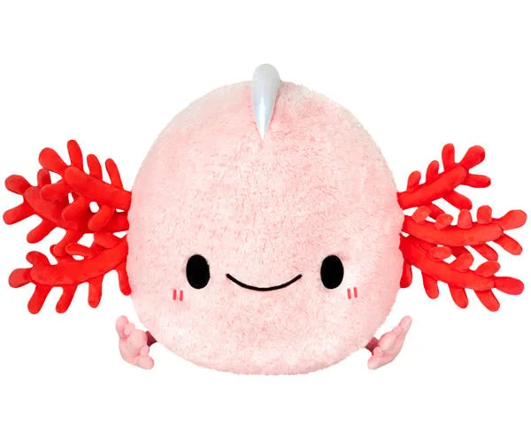 How to Safely Machine Wash Your Squishable Plush: A Complete Care Guide