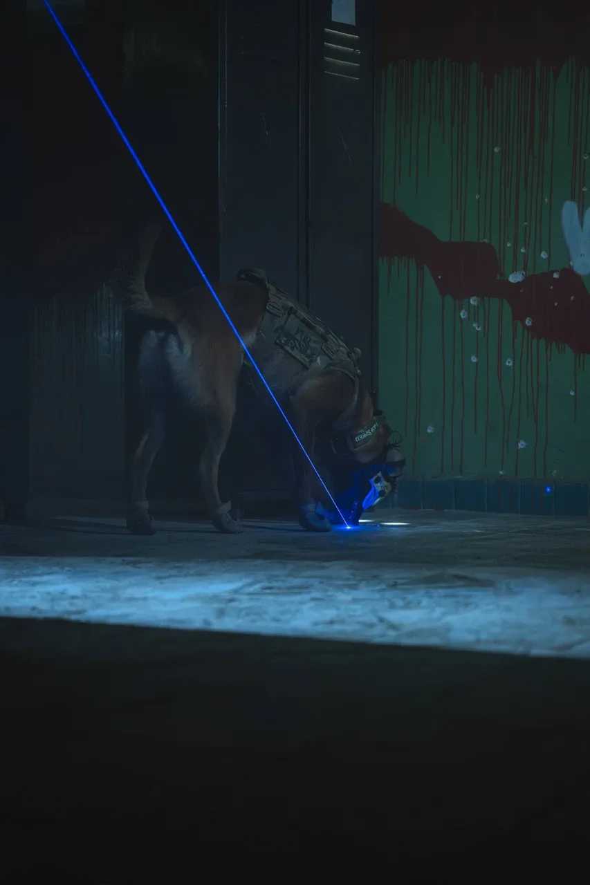 Darkfighter K9 Laser