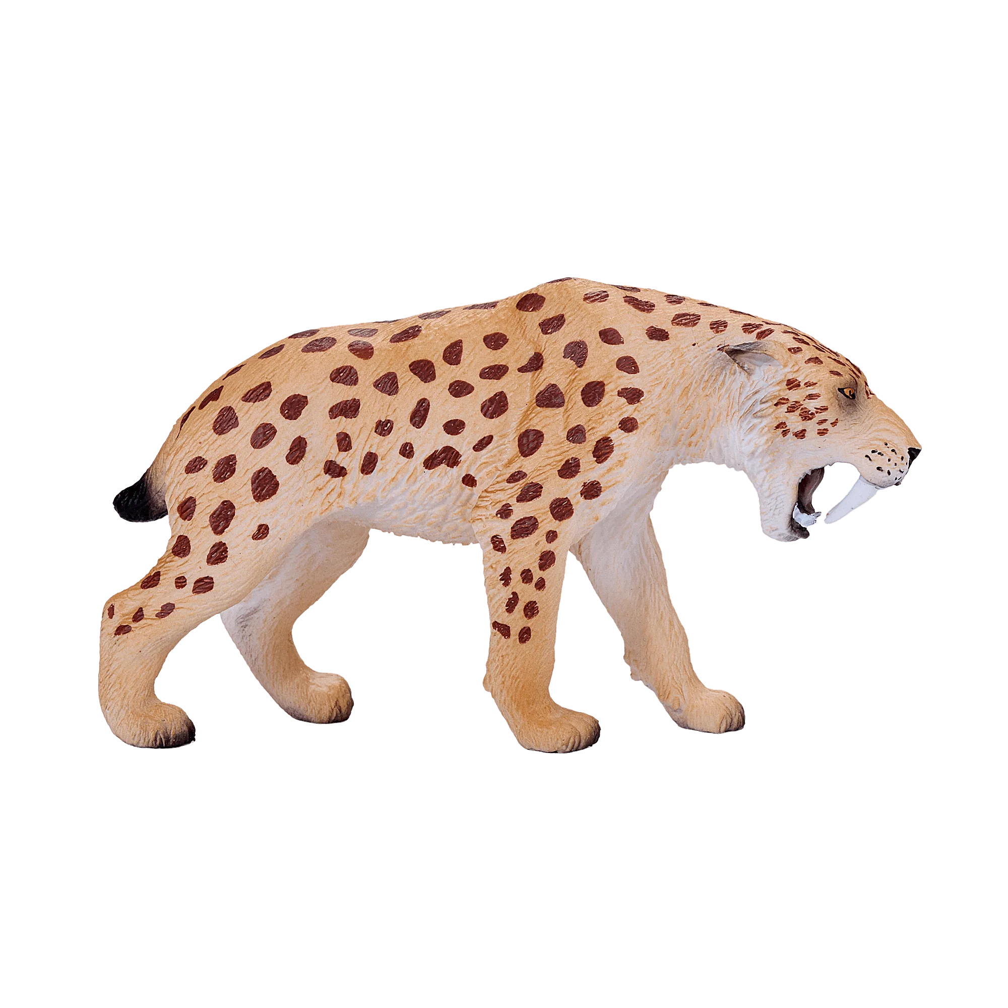 سميلودون