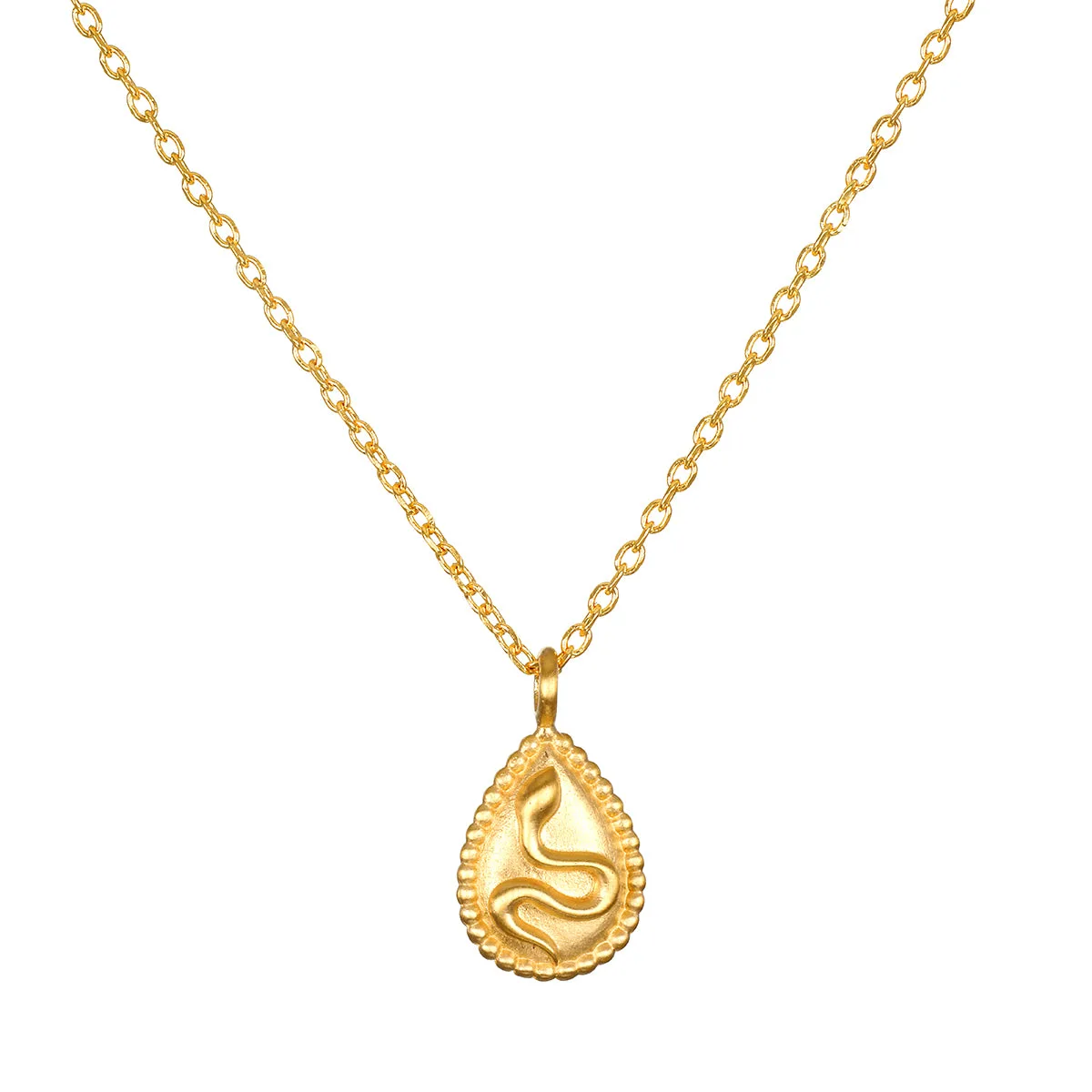 Shifting Consciousness Snake Necklace