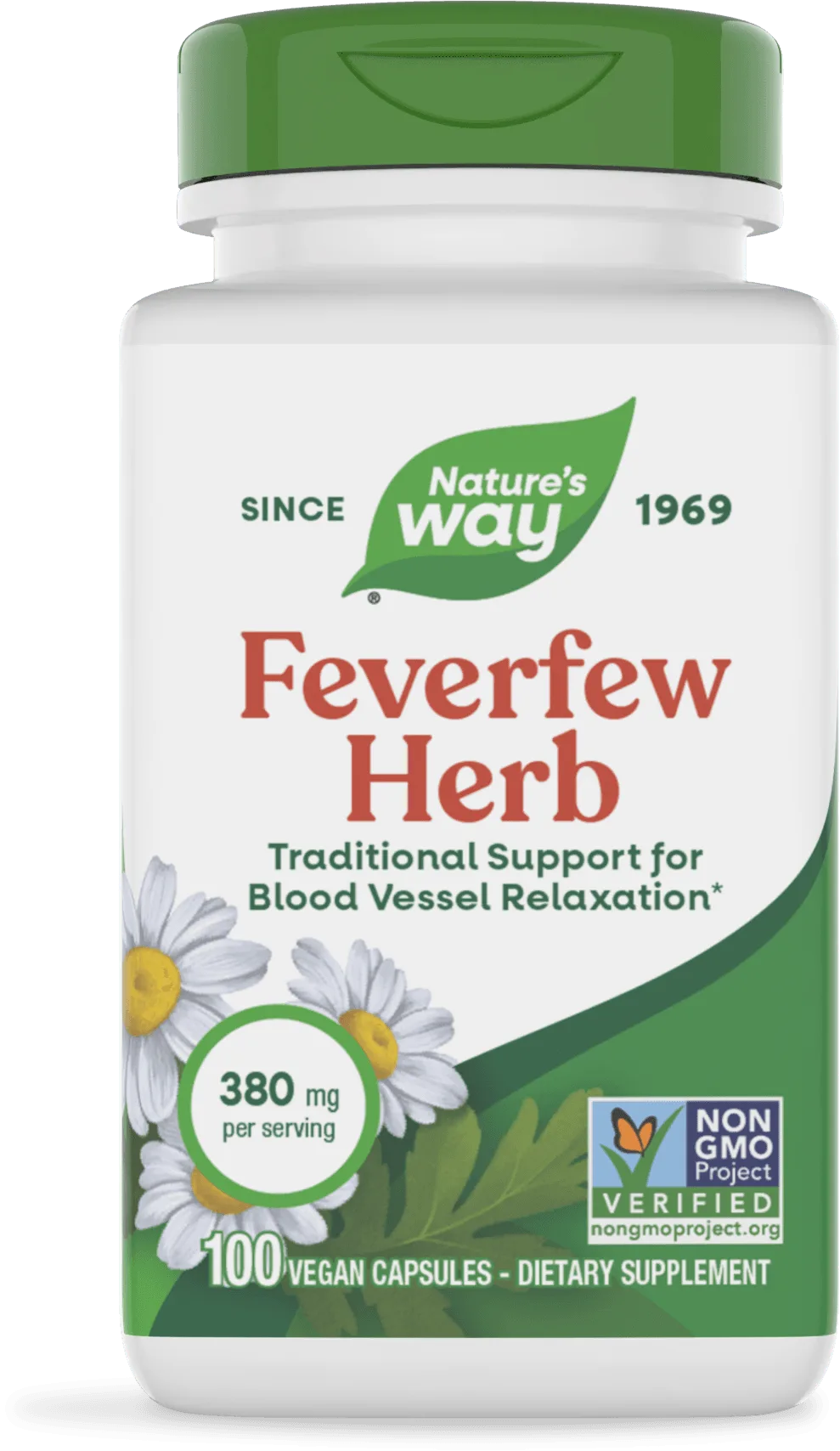 Bylina feverfew