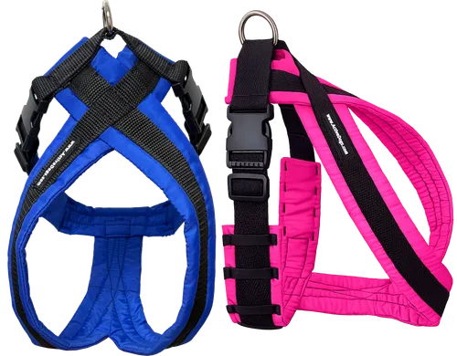 Tracking Equipment for Dogs: Essential Gear for Scent Work