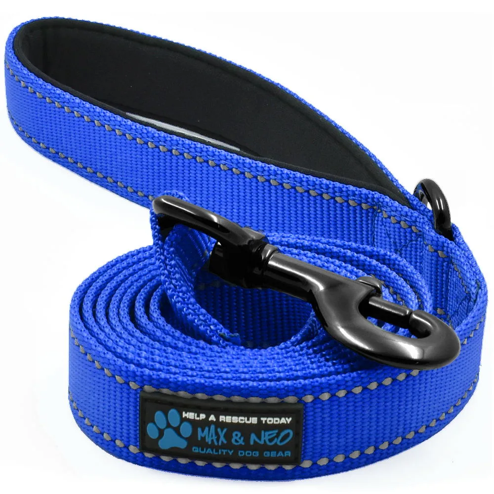 How to Clean Your Dog's Harness: Step-by-Step Care Instructions