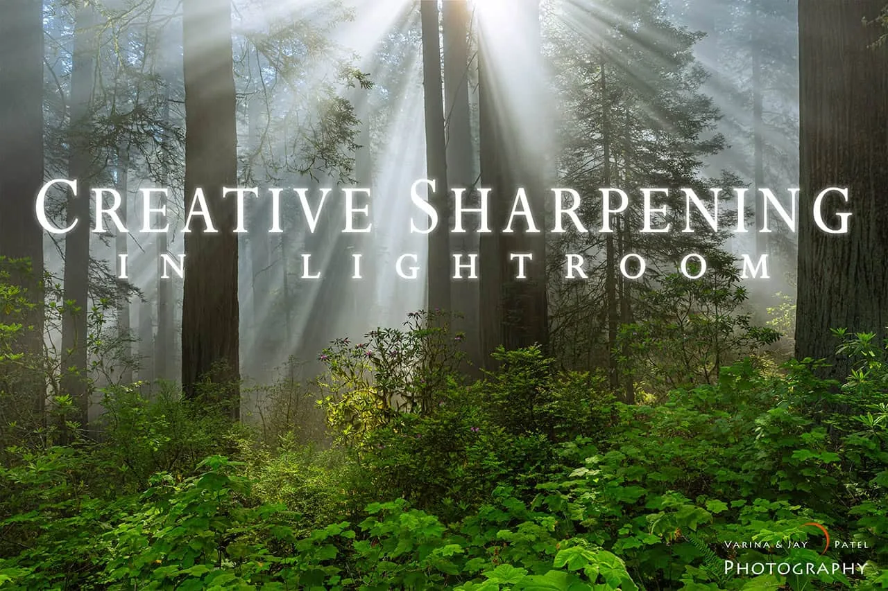 Creative Sharpening in Lightroom: Step-by-Step Guide