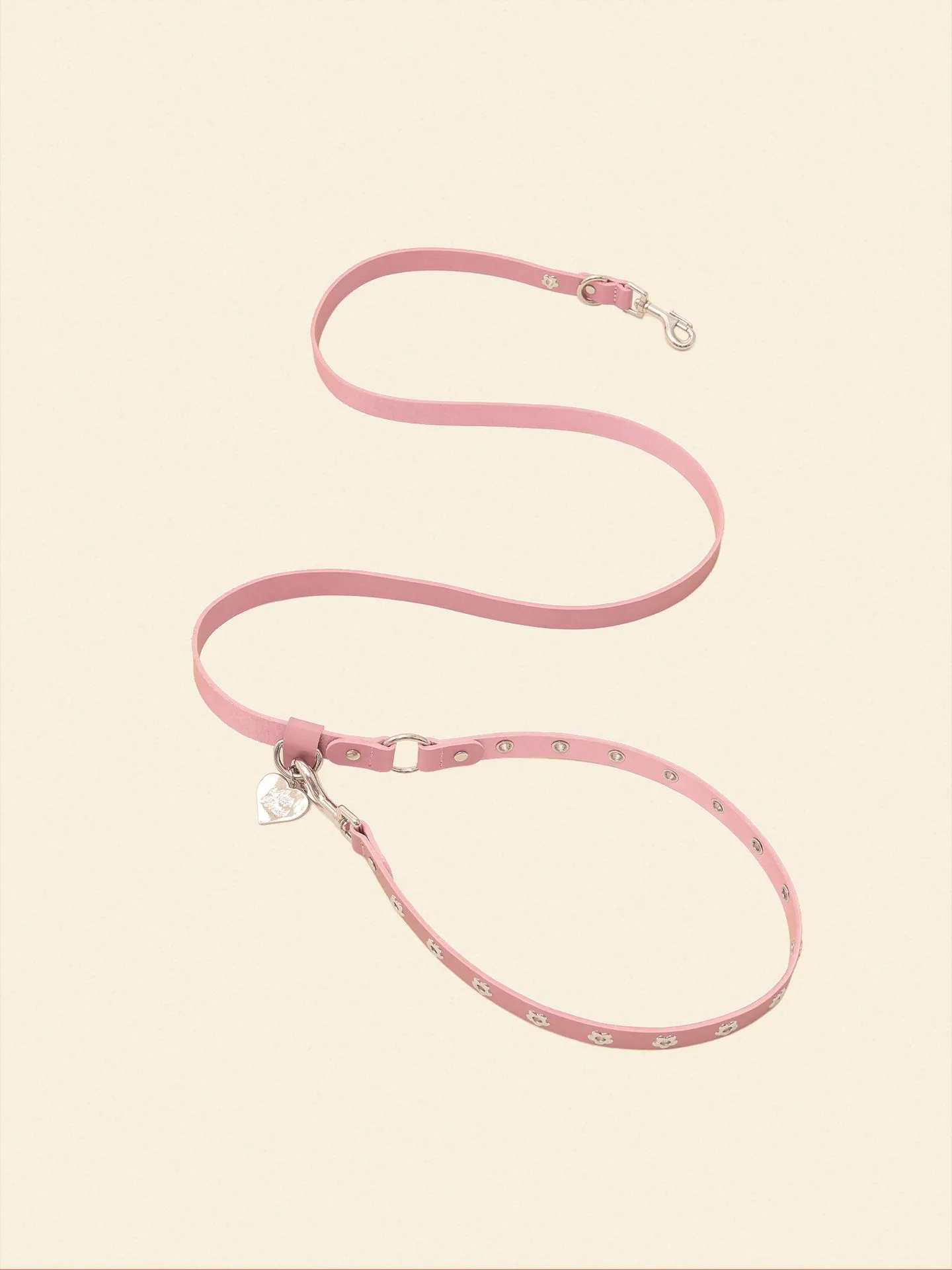 The Best Dog Collars for Everyday Walks: A Buyer’s Guide