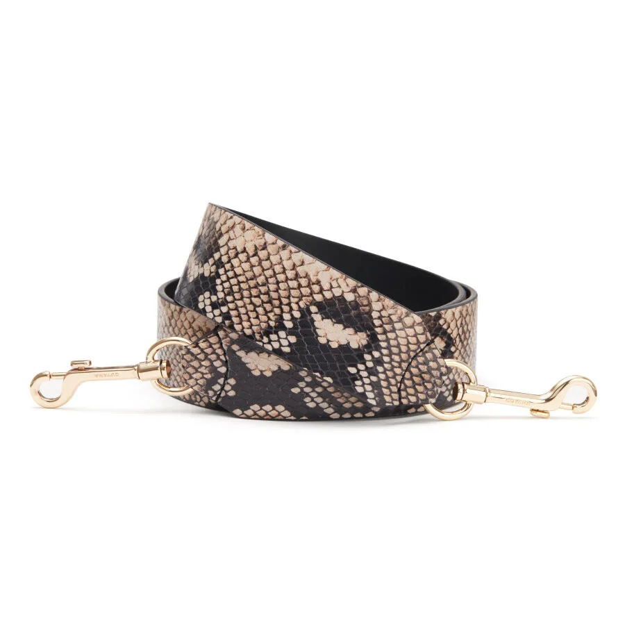 The Evolution of the Clutch: From Evening Essential to Everyday Bag