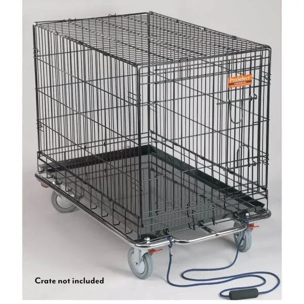 How to Choose a Kennel Cart for Transporting Dogs