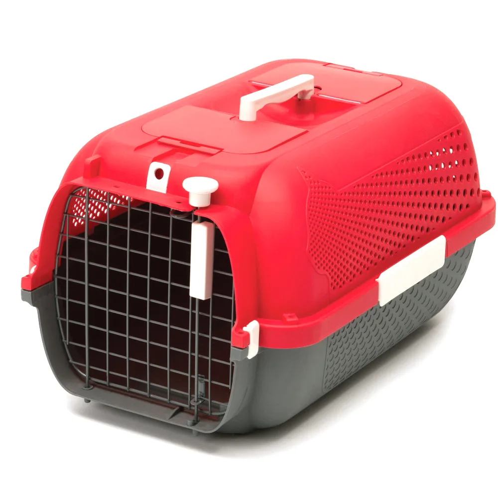 Elegir transportín para perros pequeños: tamaño y comodidad