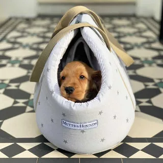 Sådan rengør du en hunds pibelegetøj: Sikre metoder til plyslegetøj