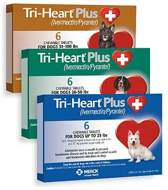 Come somministrare Tri-Heart Plus ai cani