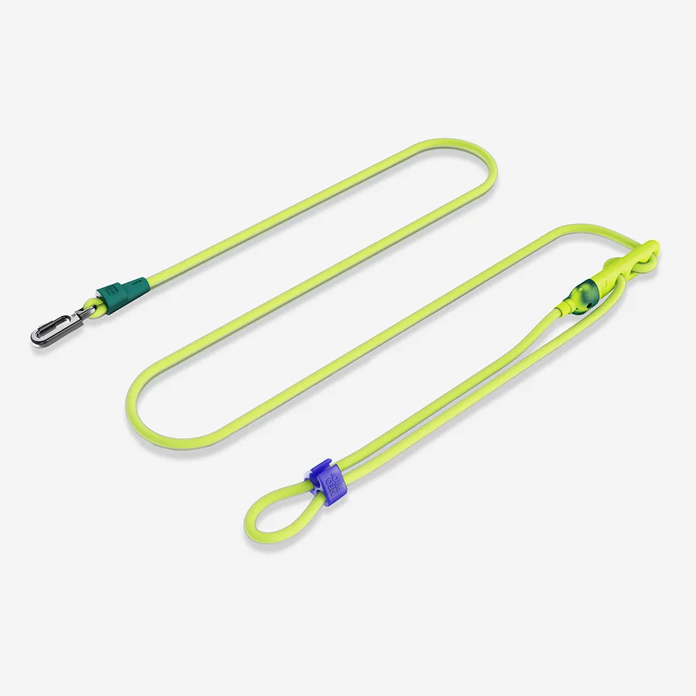 Hands-Free Leash vs. Traditional Leash: Which Is Better for Your Dog?