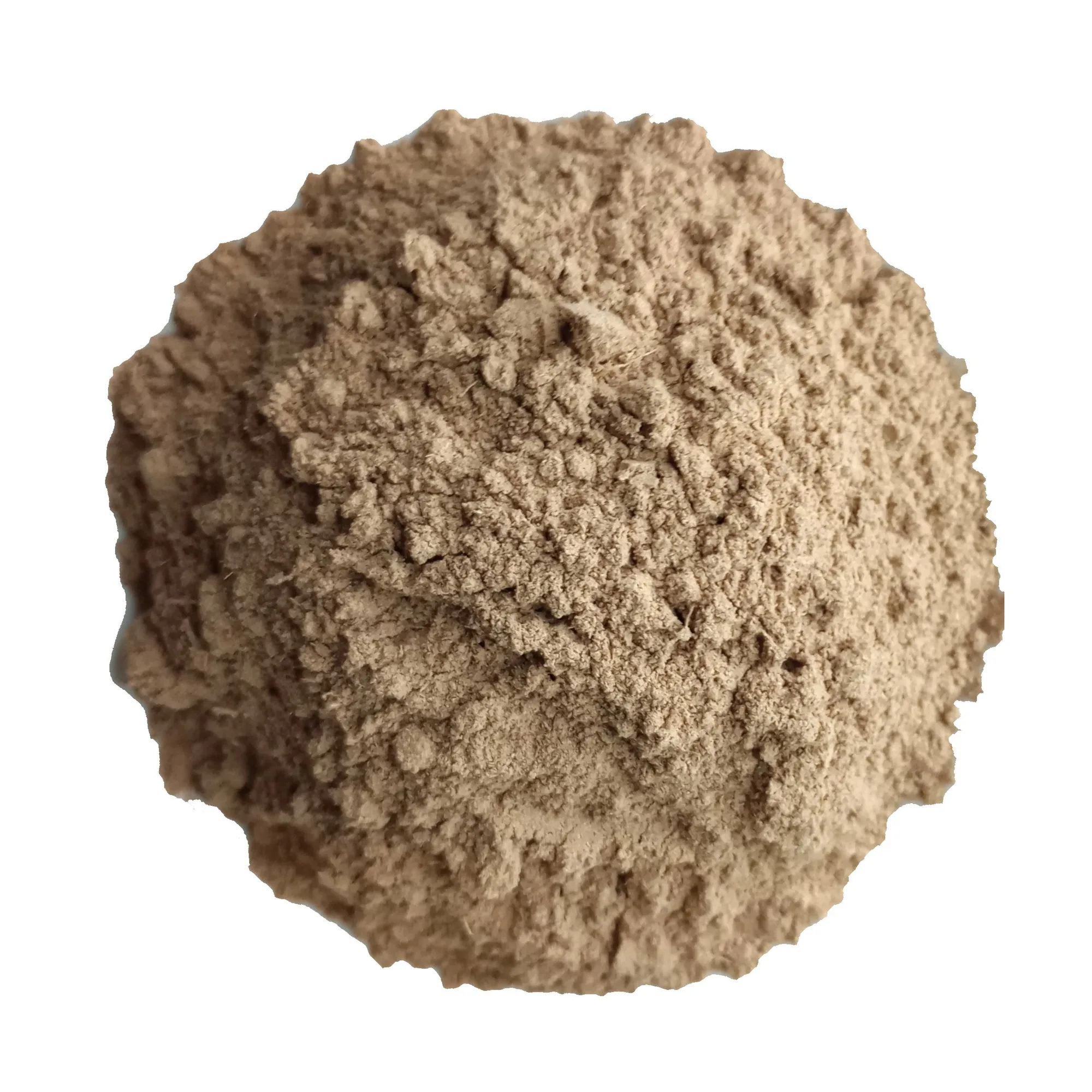 How to Use Organic Galangal Powder in Cooking