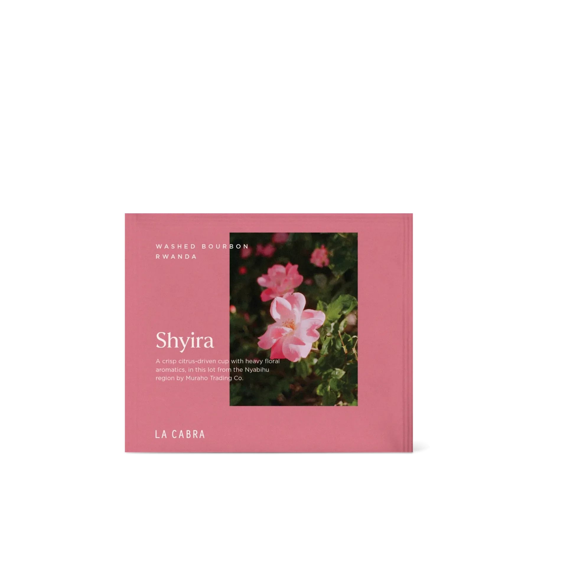 Shyira Washed - Single Serve