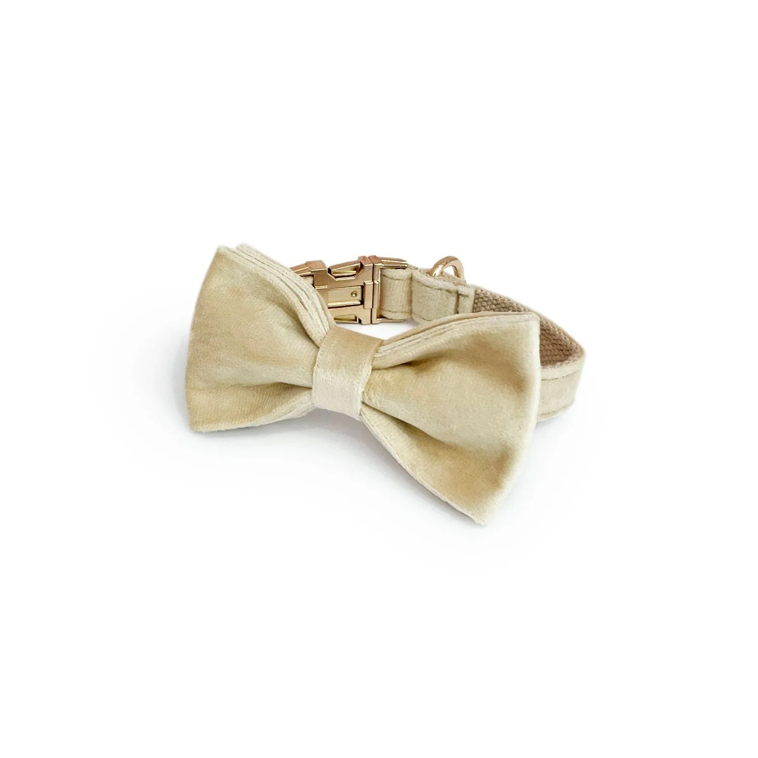 bow tie Natasha