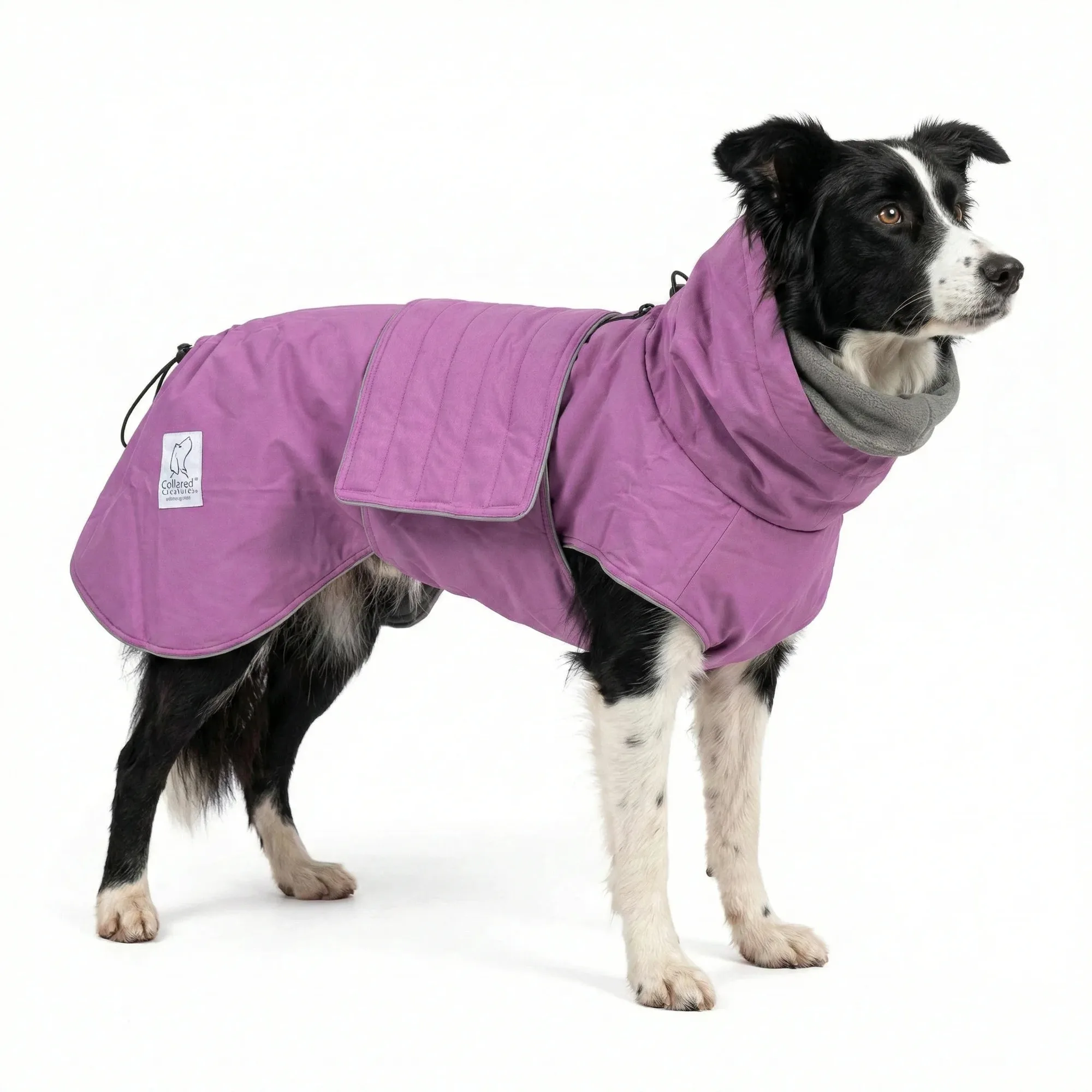 How to Use a Waterproof Dog Coat in Rainy Weather