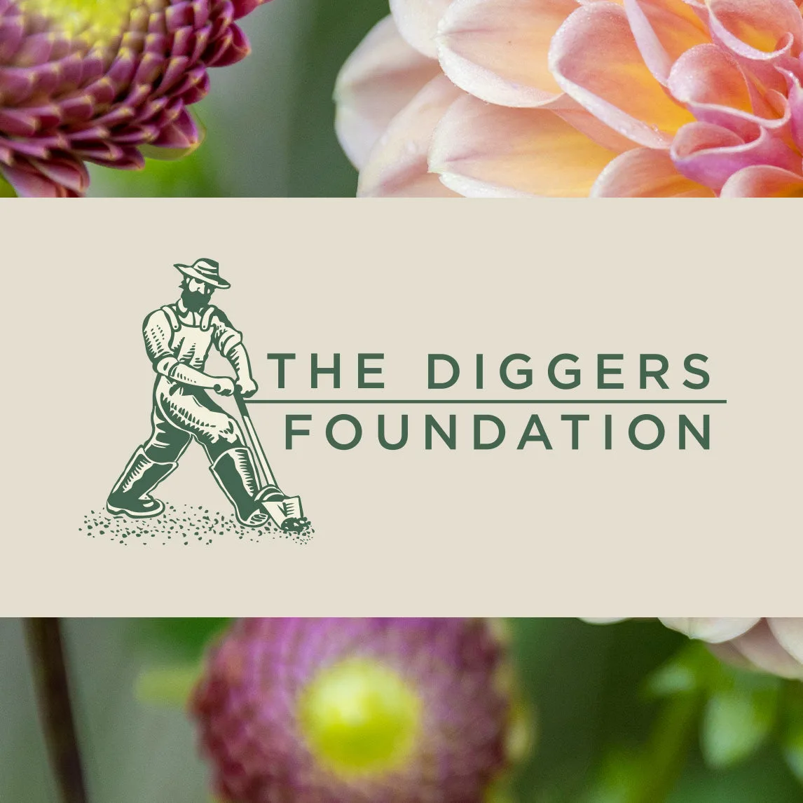 What a $5 Donation Does for Community Gardens