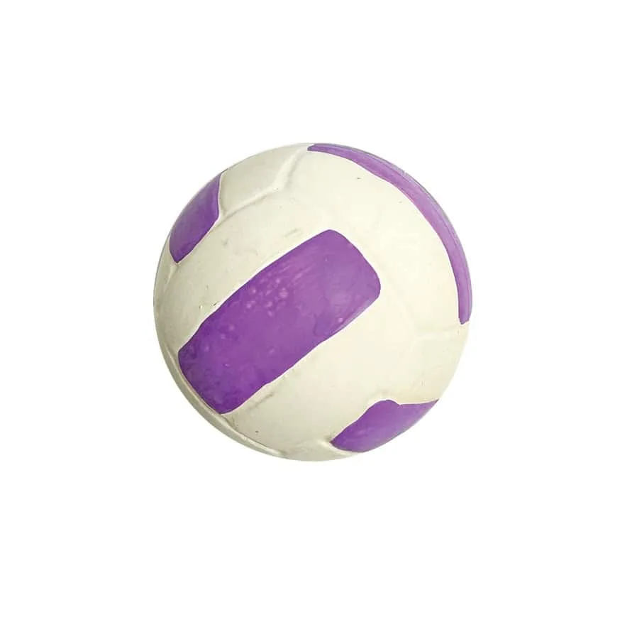 Pallavolo giocattolo per cani Amazing Pet Products con squeaker in lattice