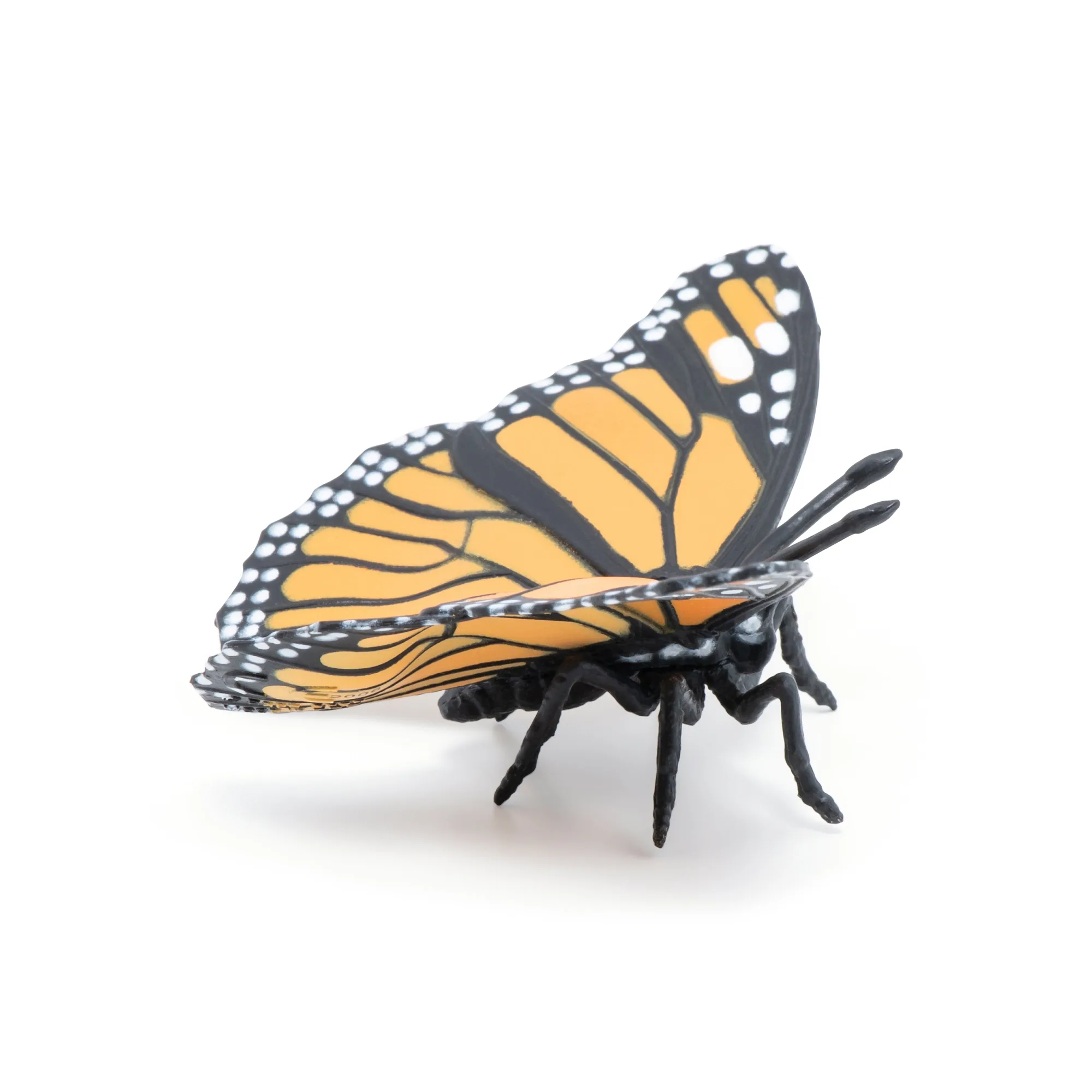 Figura de mariposa