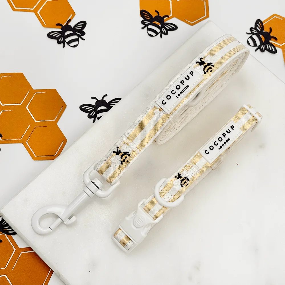 Honey Meadow Collar & Lead Bundle